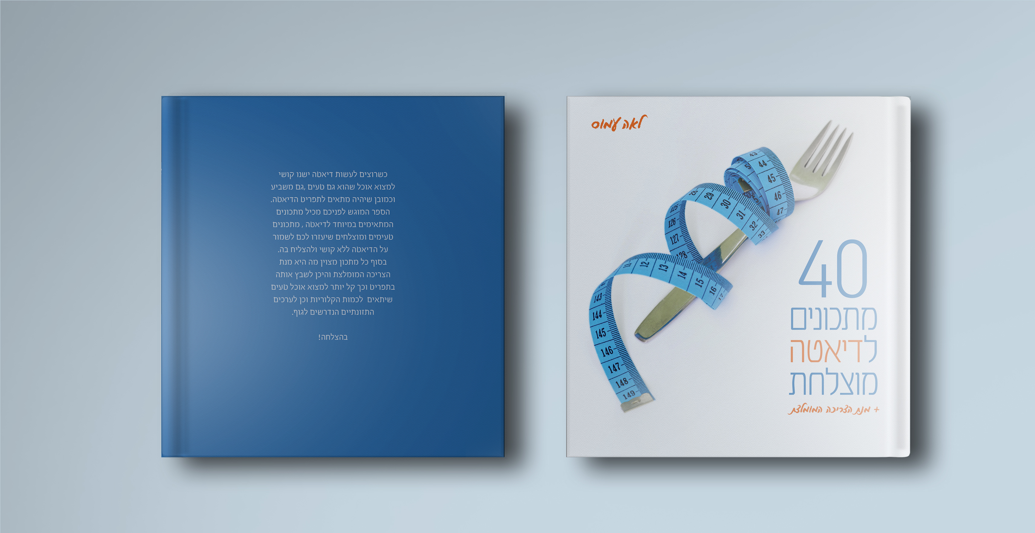 הדמייה ספר מתכונים