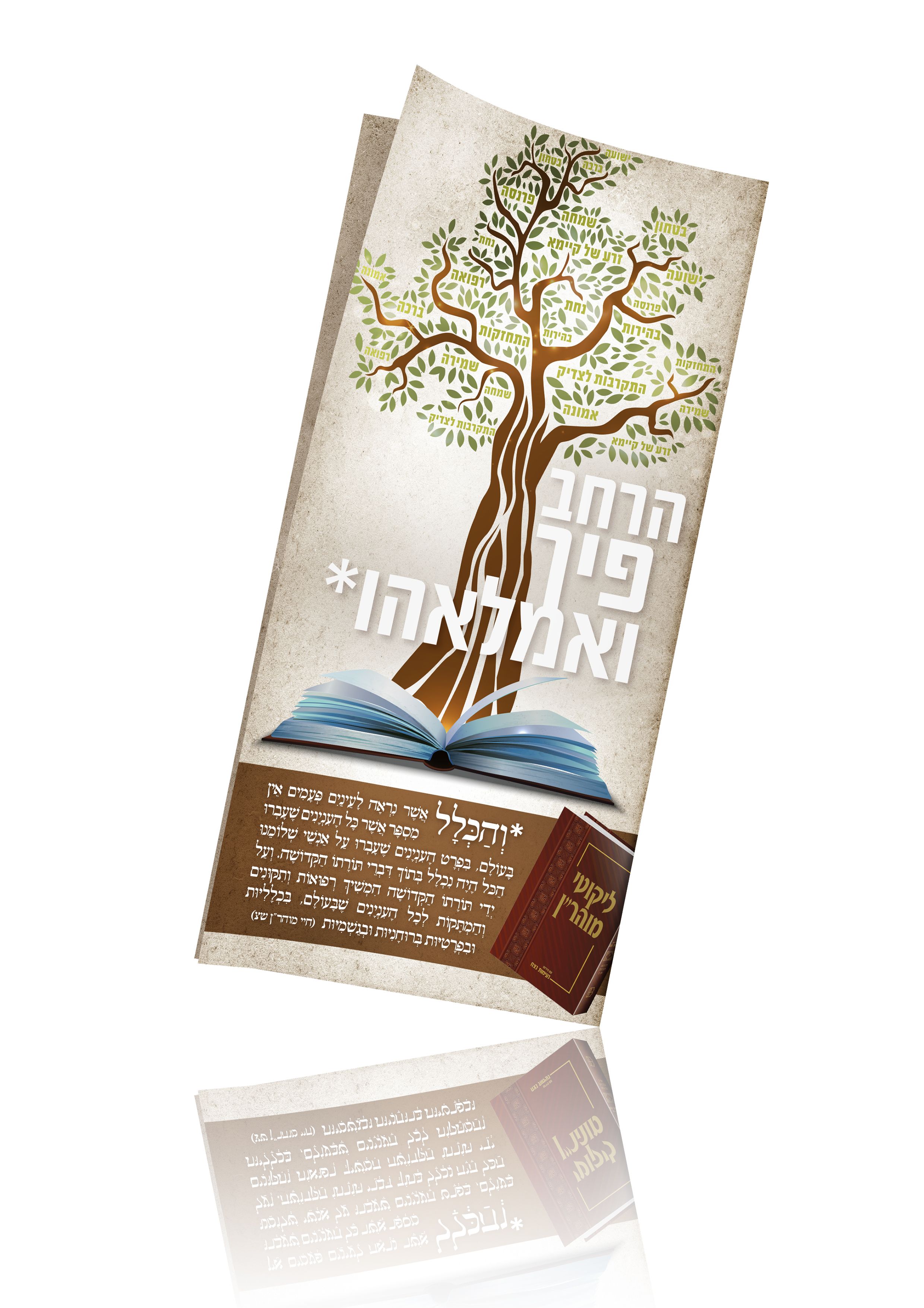 הדמייה קדמי.jpg