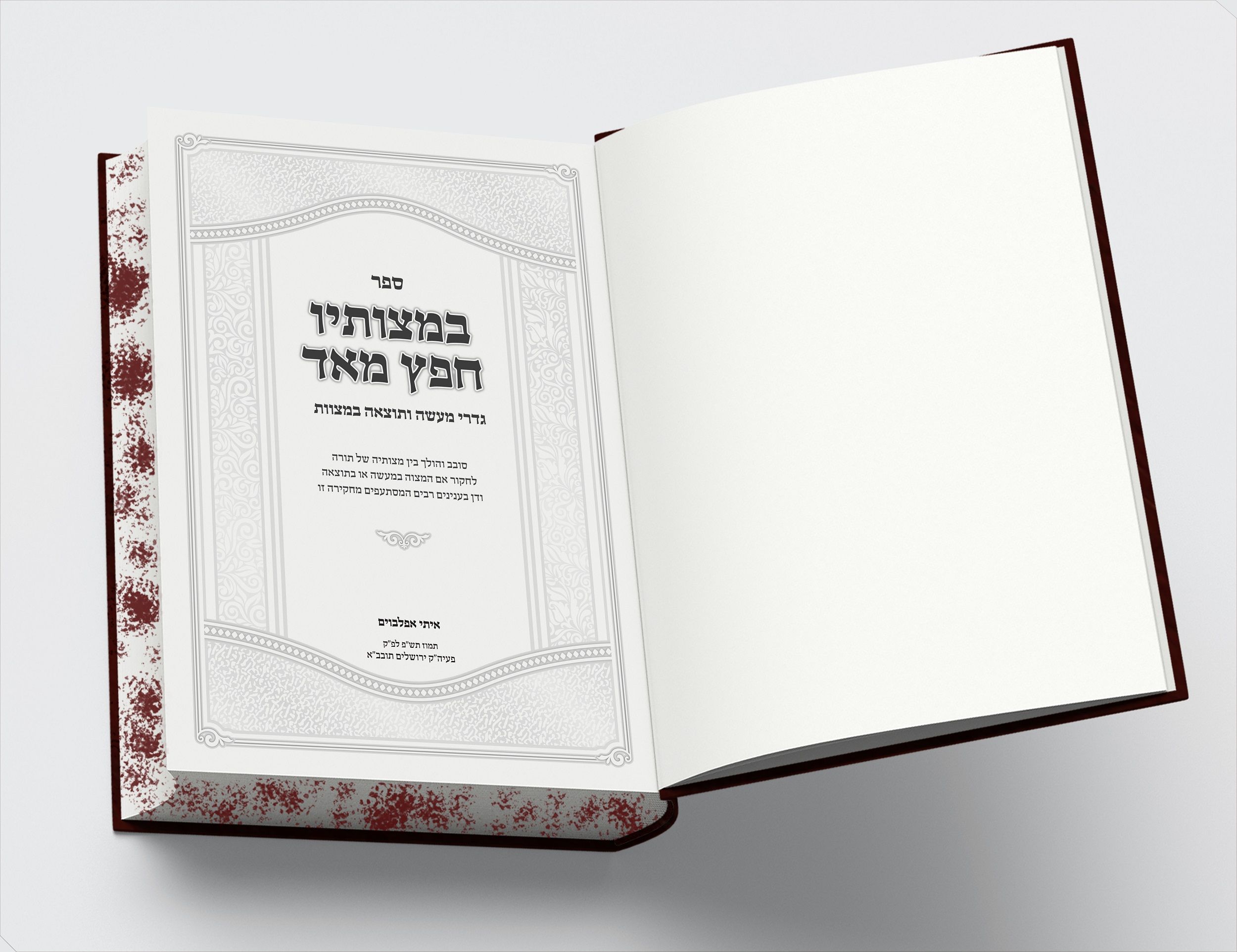 הדמייה שער.jpg