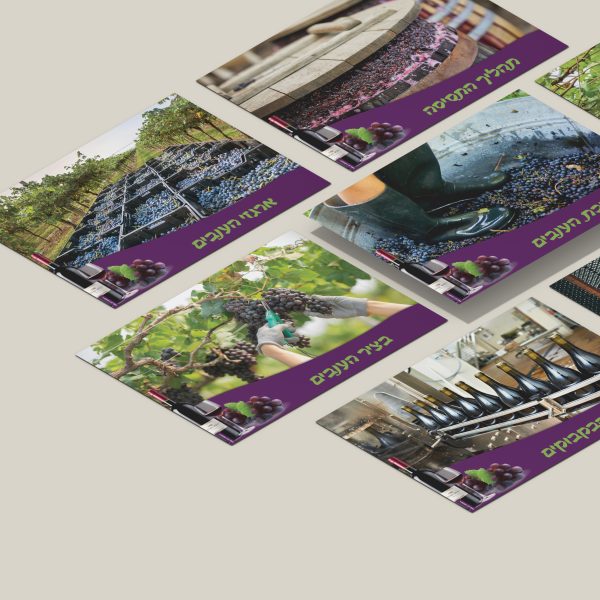 הדמייה תהליך ייצור היין