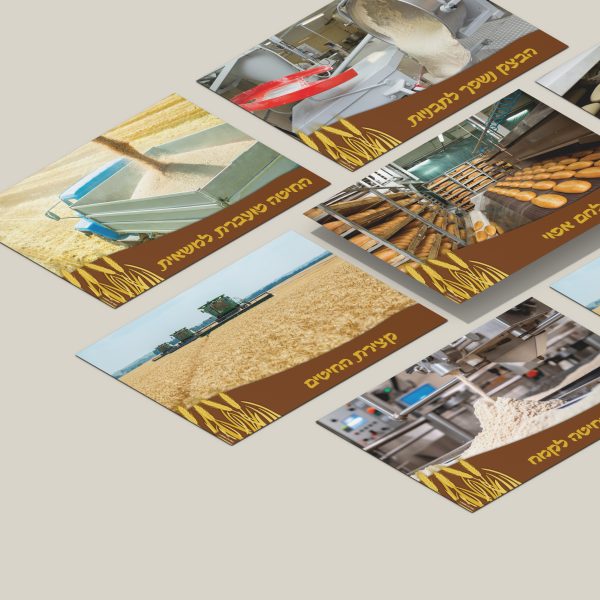 הדמייה תהליך ייצור הלחם