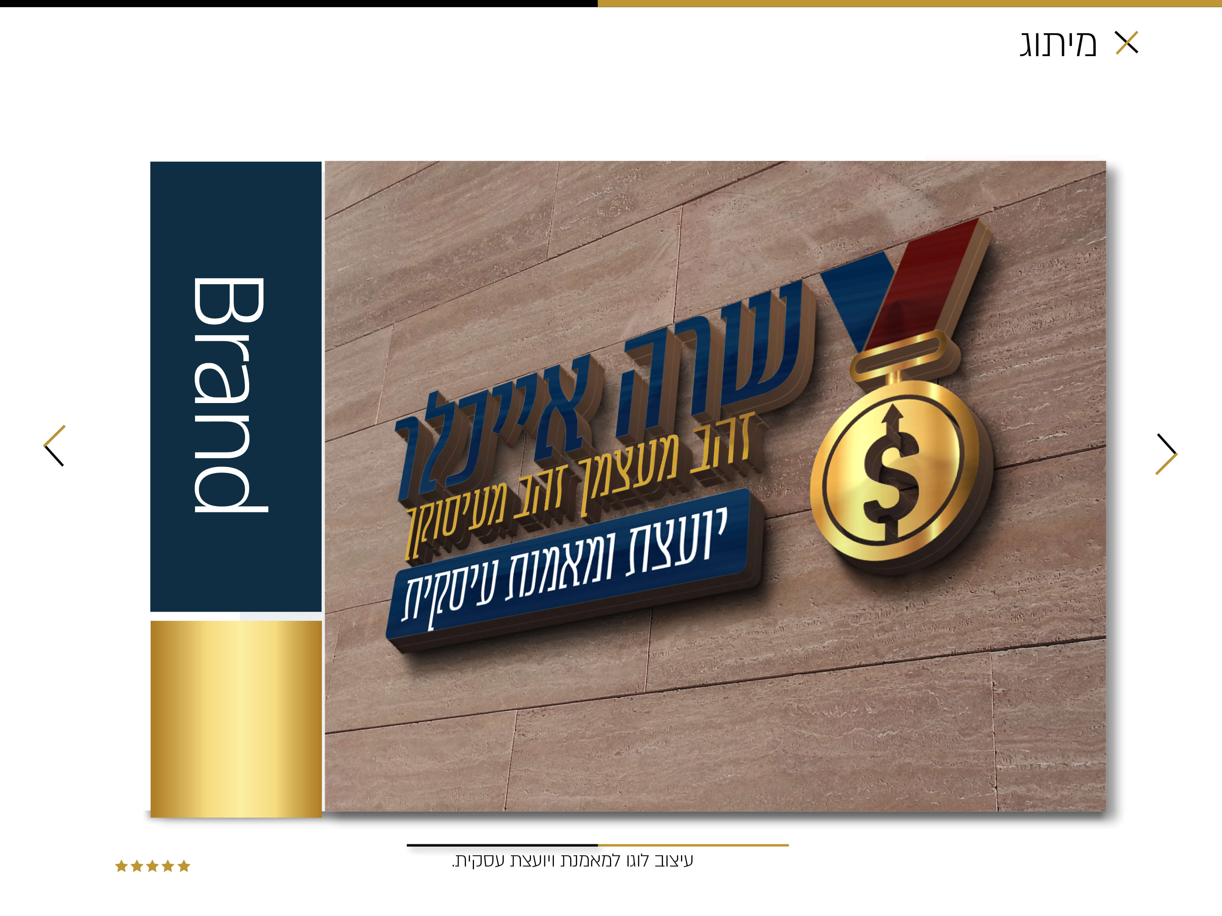 הדמית לוגו שרה אייכלר.jpg