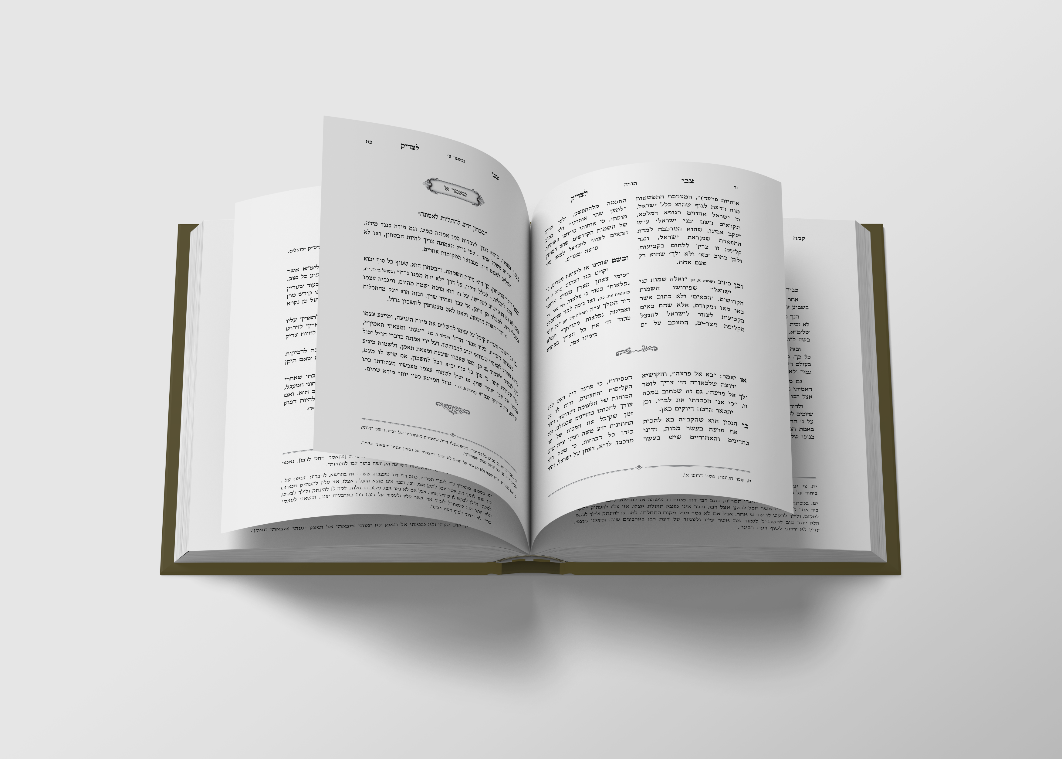 הדמית עימוד צבי לצדיק.png