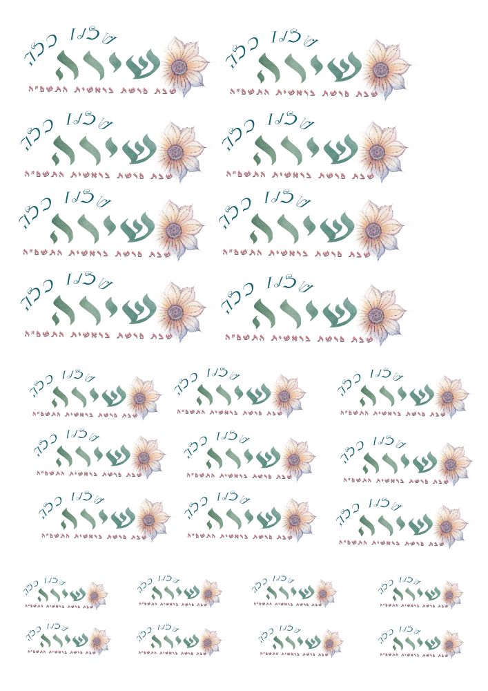 הדפסה מזגרת על שקף מדבקה.jpg