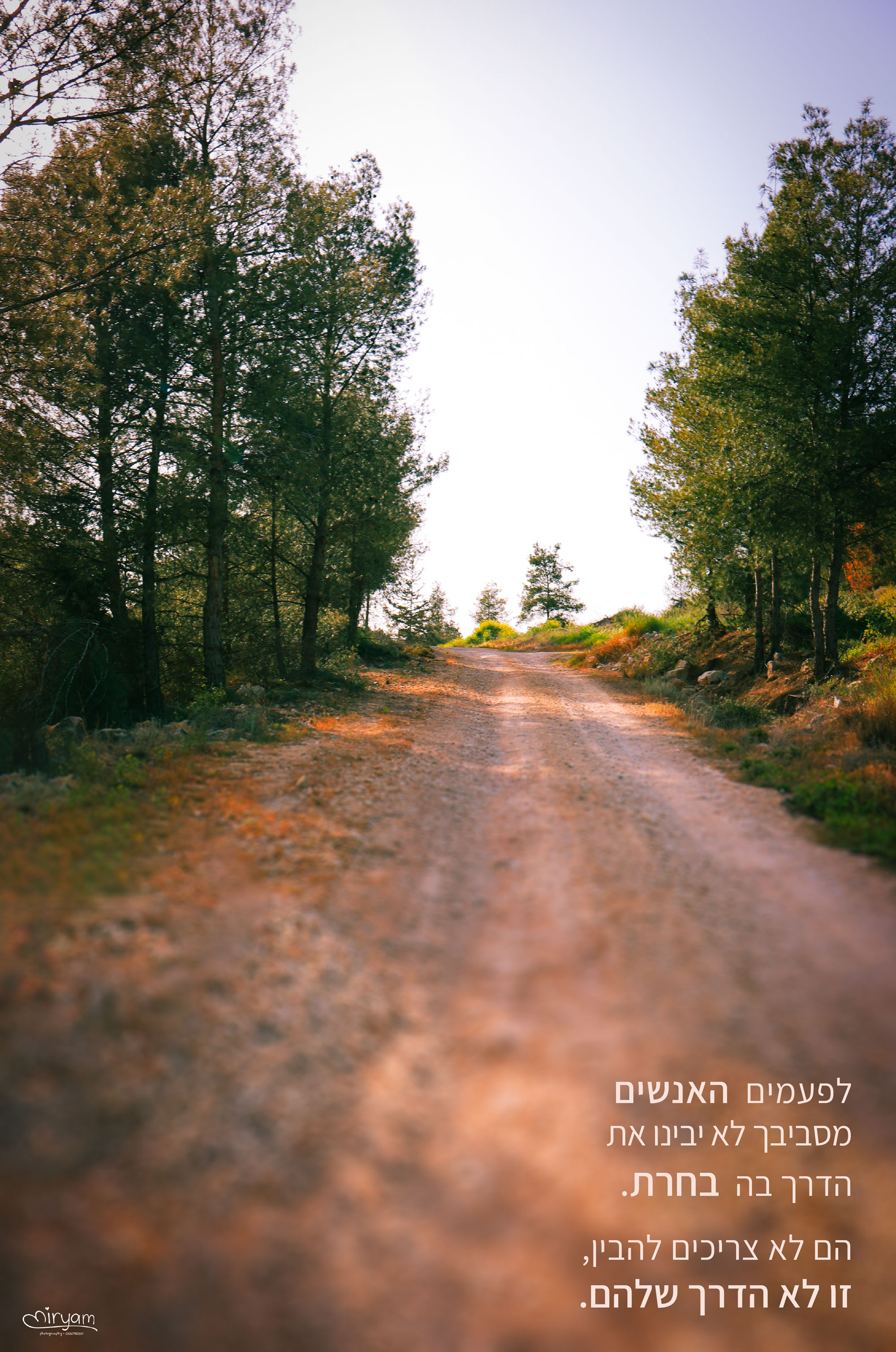 הדרך-בה-בחרת.jpg