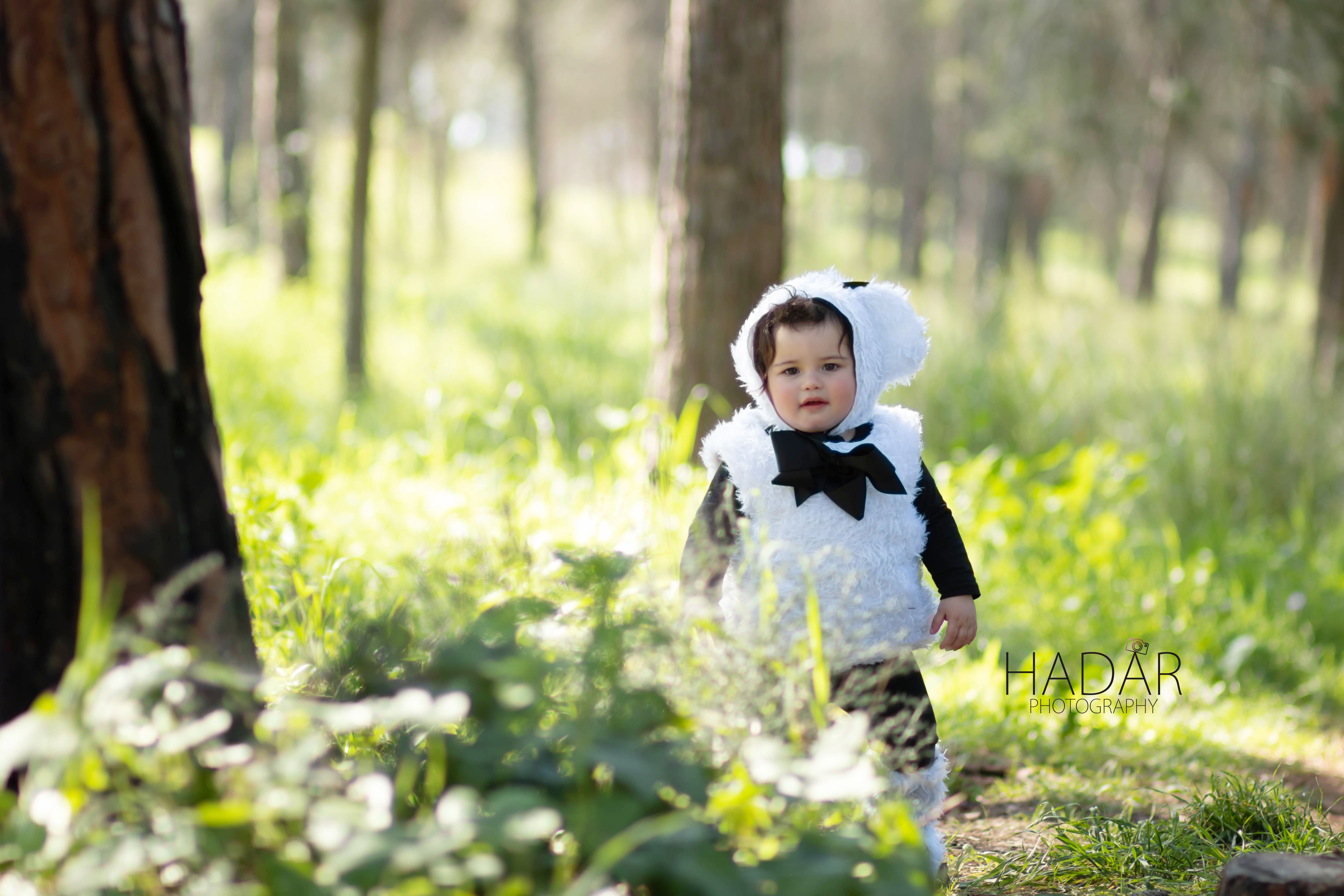 הדר גאנח צילומי פורים