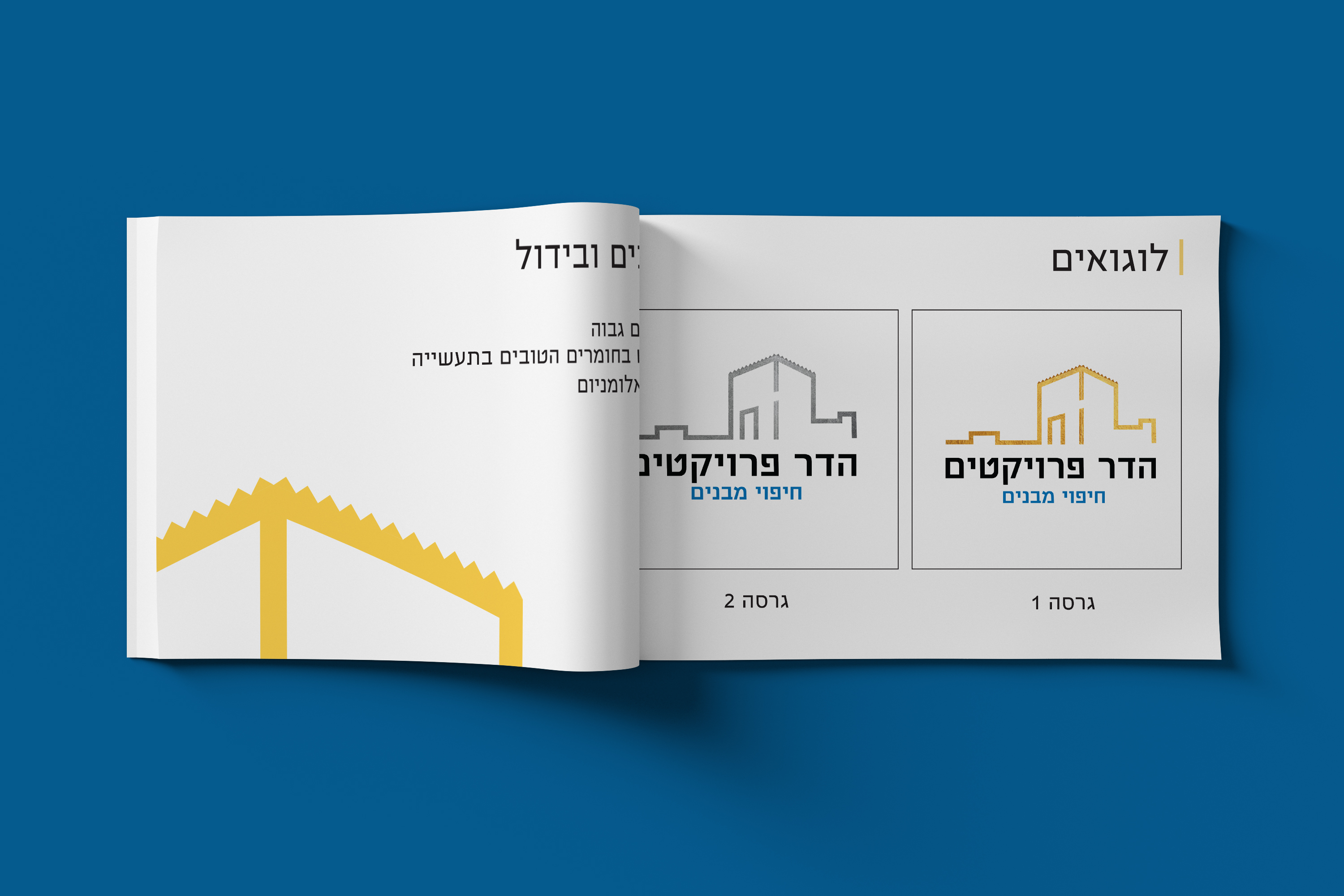 הדר פרויקטים 01