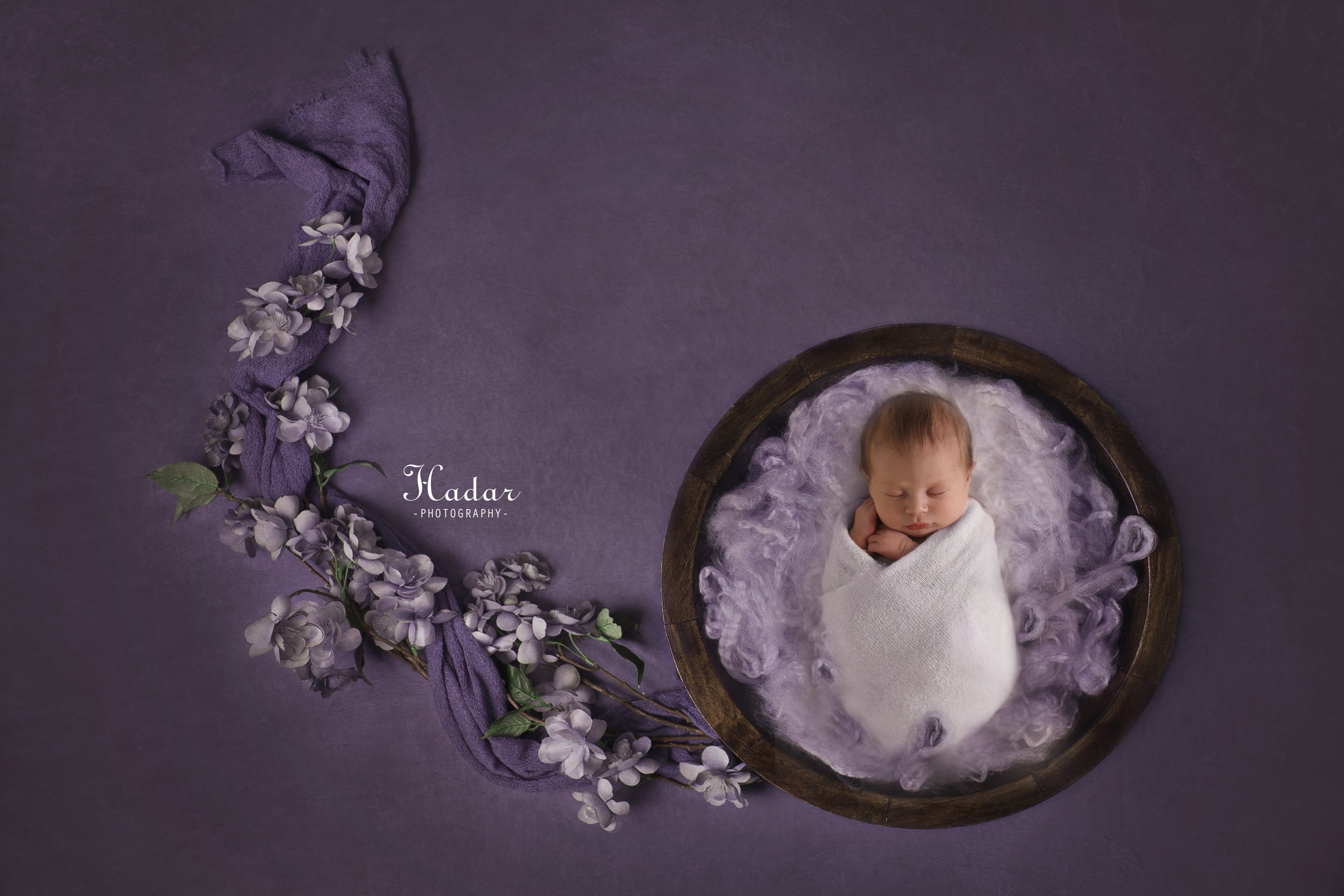 הדר צלמת כל תמונה גלויה