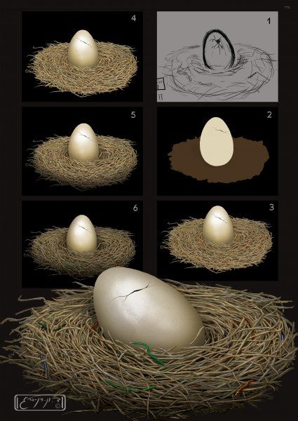 ההישרדות - שלבים מיצירת הכריכה