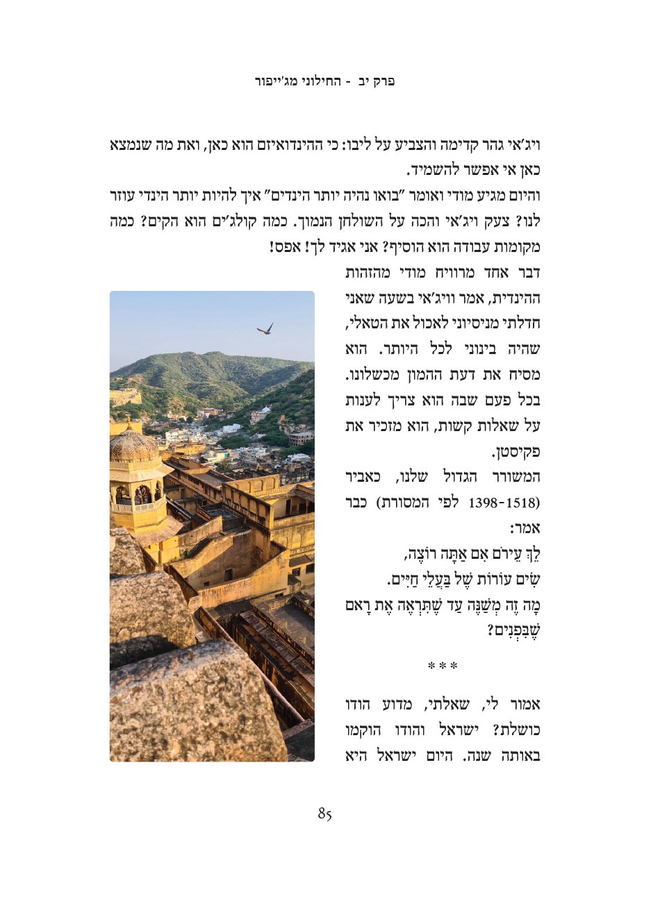 הודו שראיתי - פנים2.png