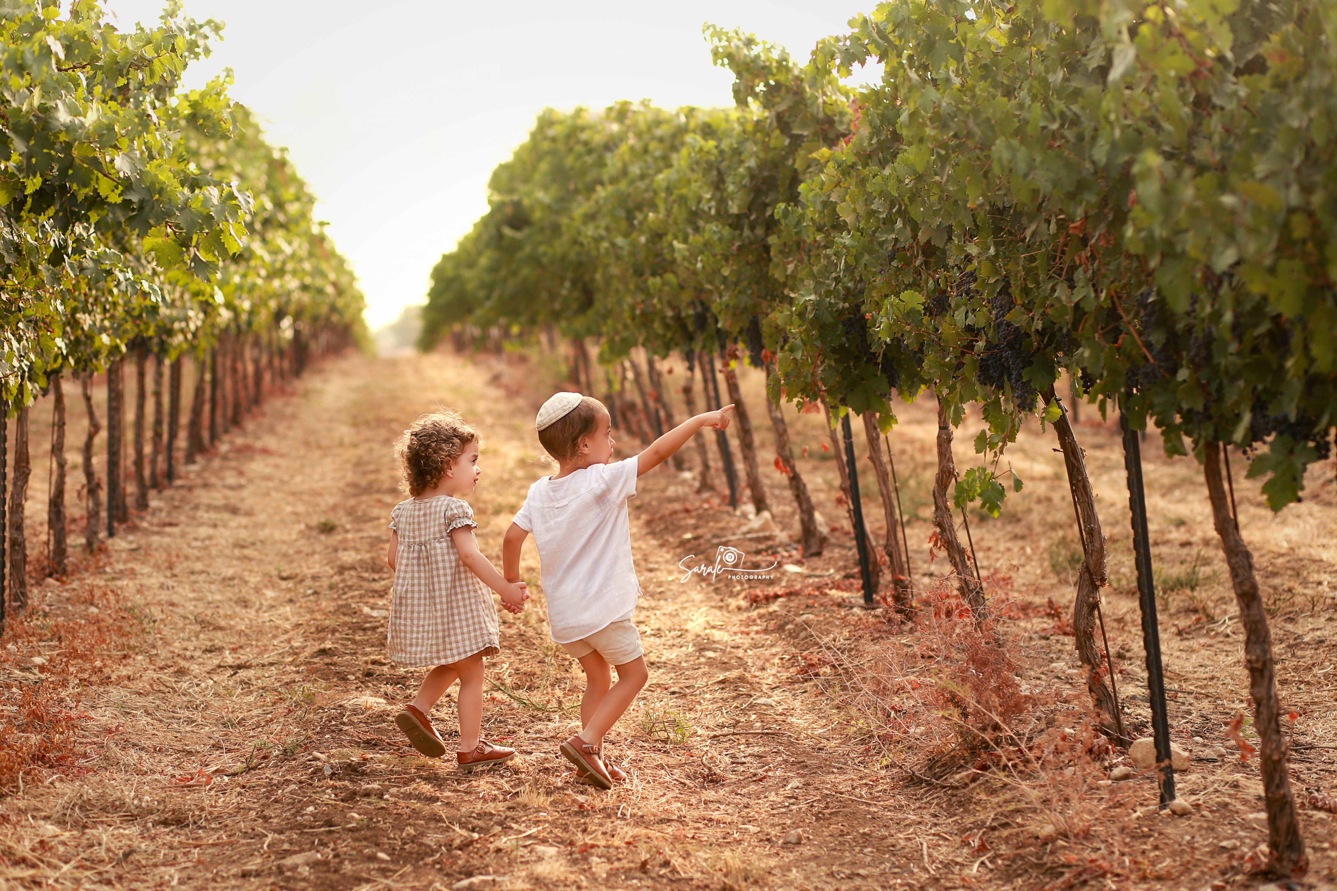 הולכים copy 2לוגו.jpg