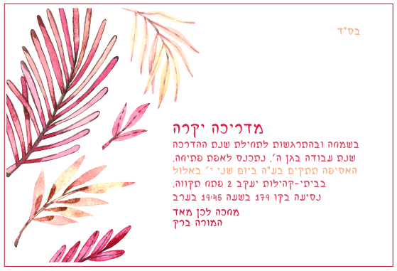 הזמנה למדריכות אחורי