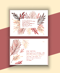 הזמנה למדריכות הדמיה