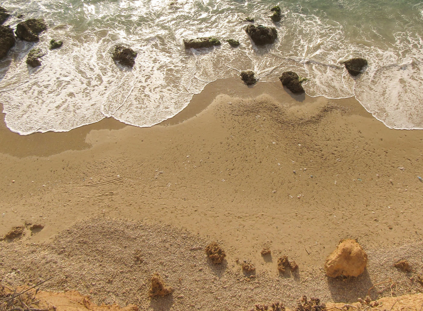 החוף  נתניה (4)