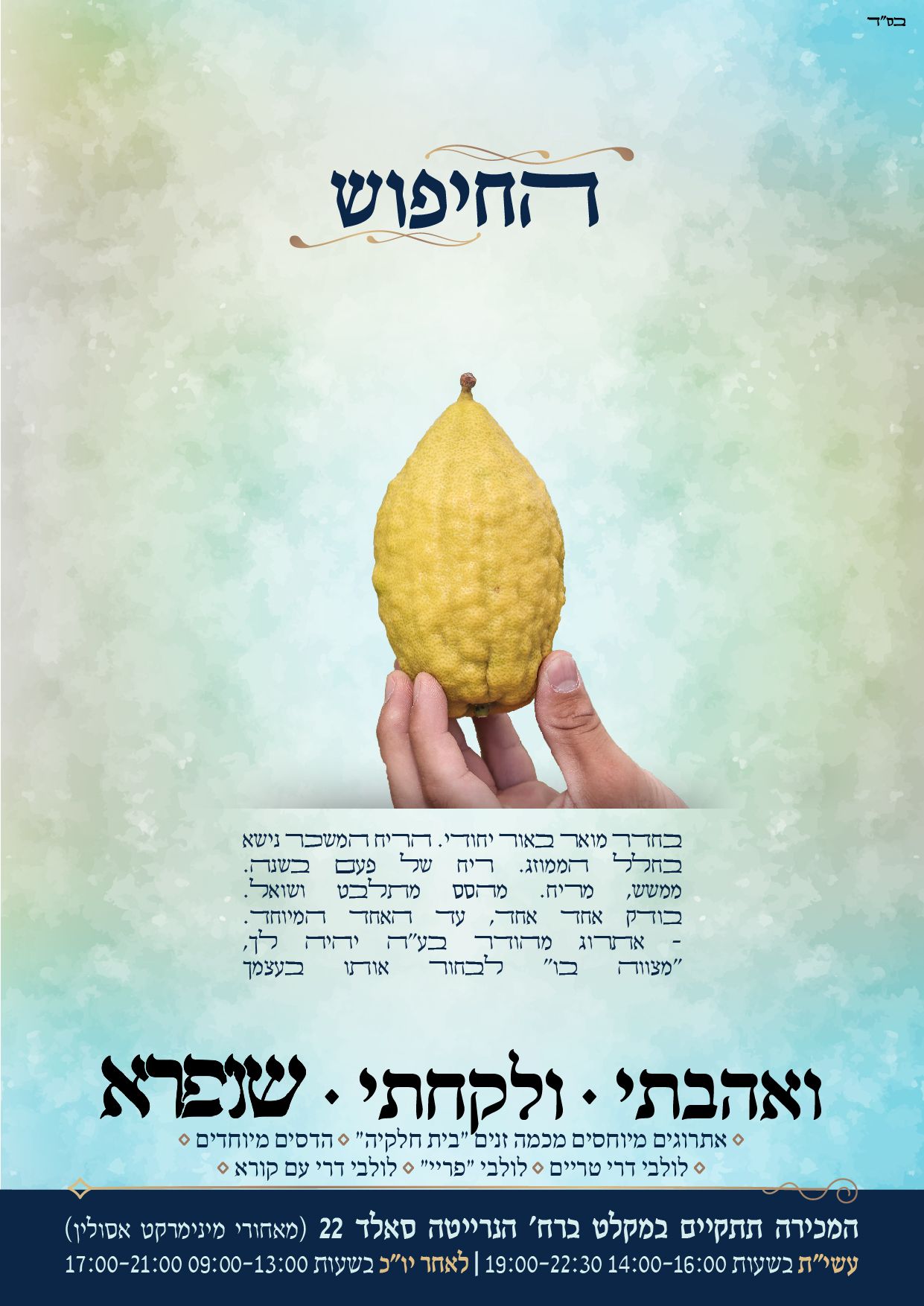 החיפוש