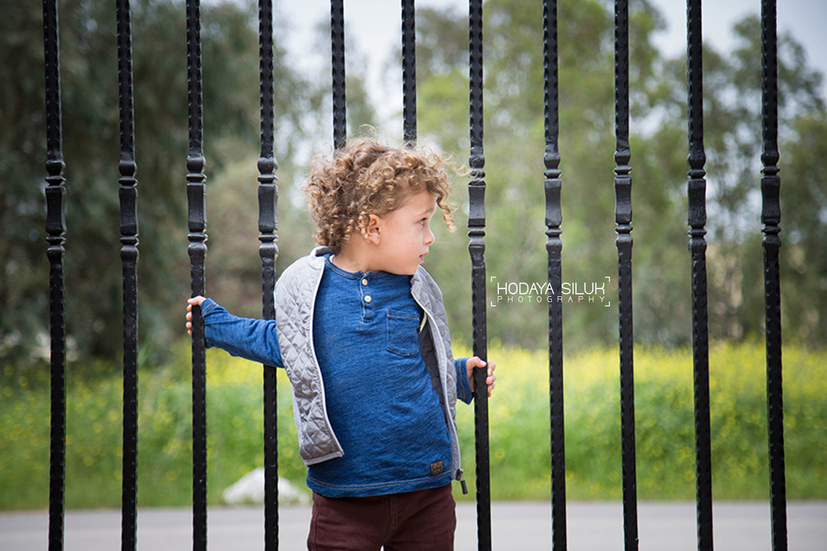 היופי שבי.jpg