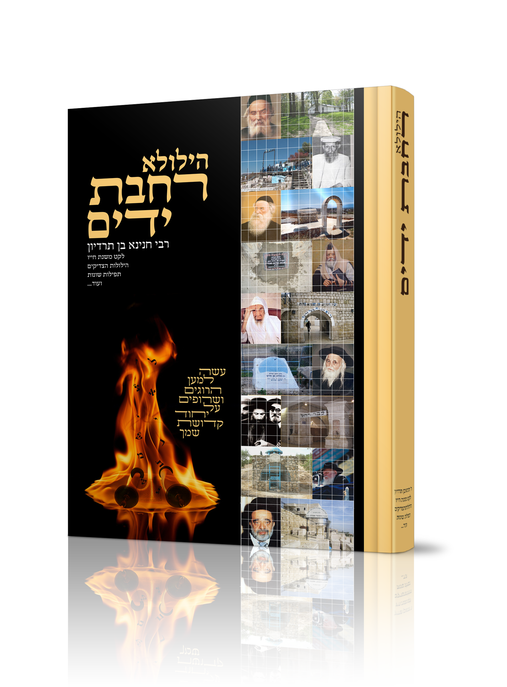 הילולא רחבת ידים ספר על הילולות הצדיקים