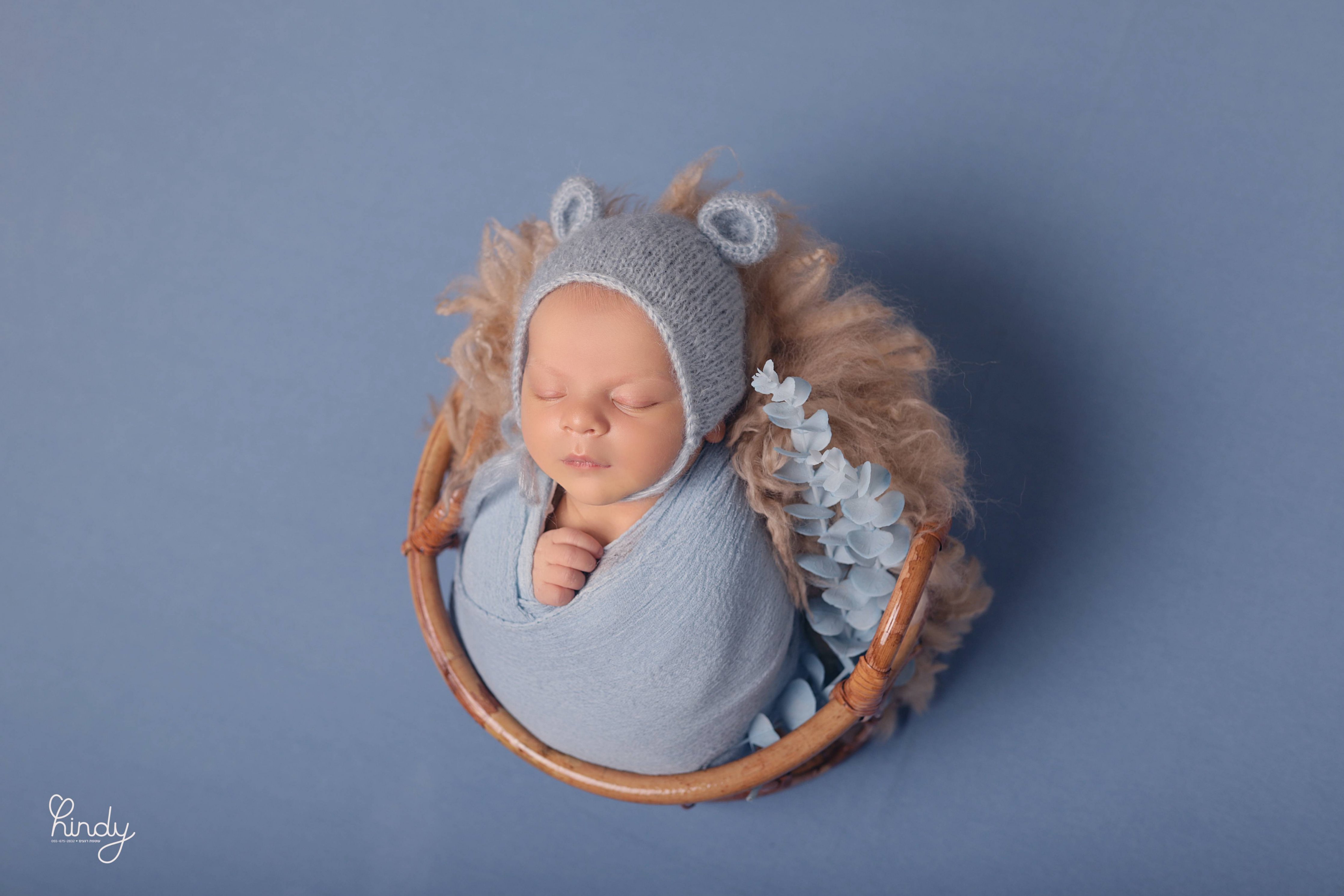 הינדי בלוי צילום 0556752832