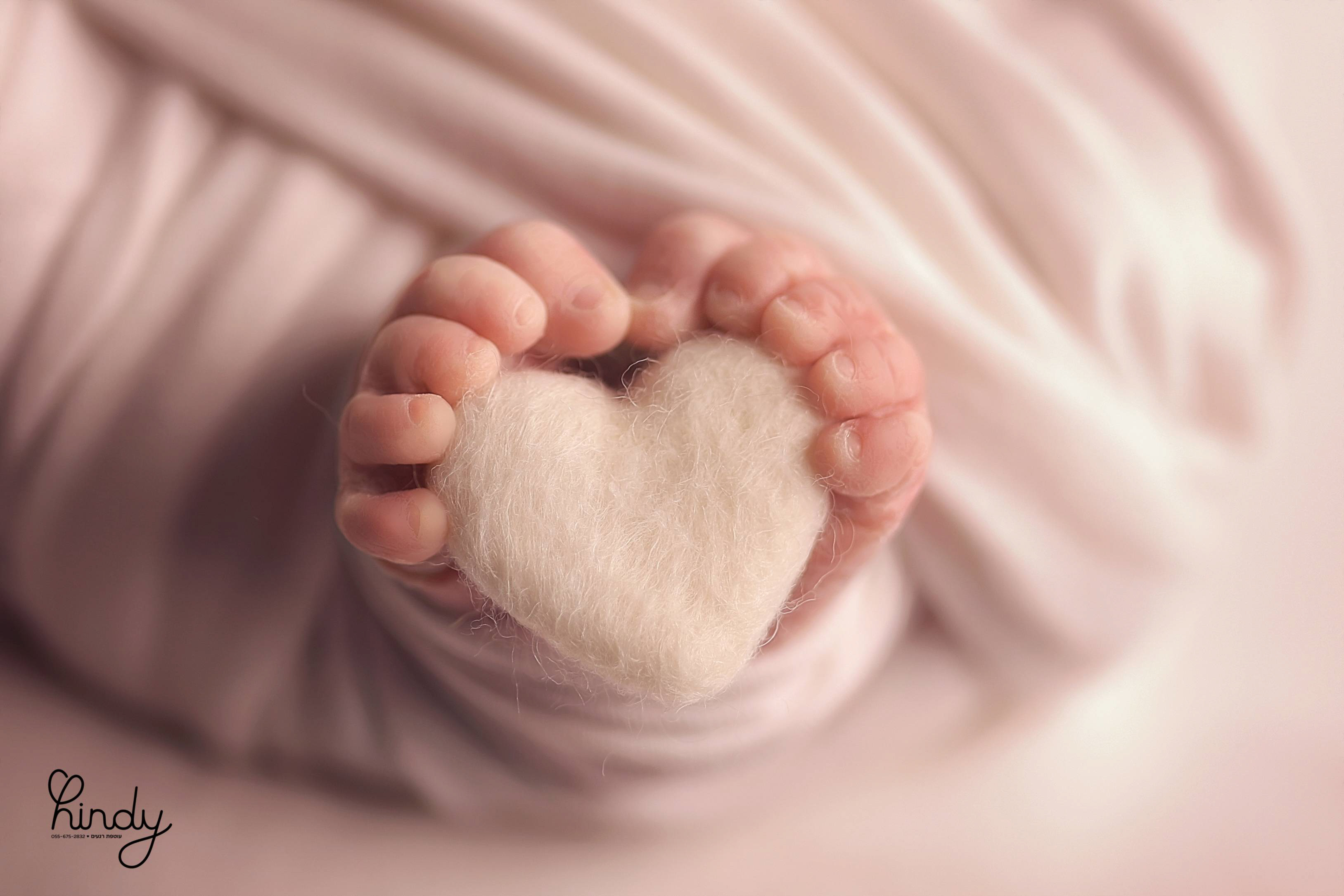 הינדי בלוי צילום 0556752832