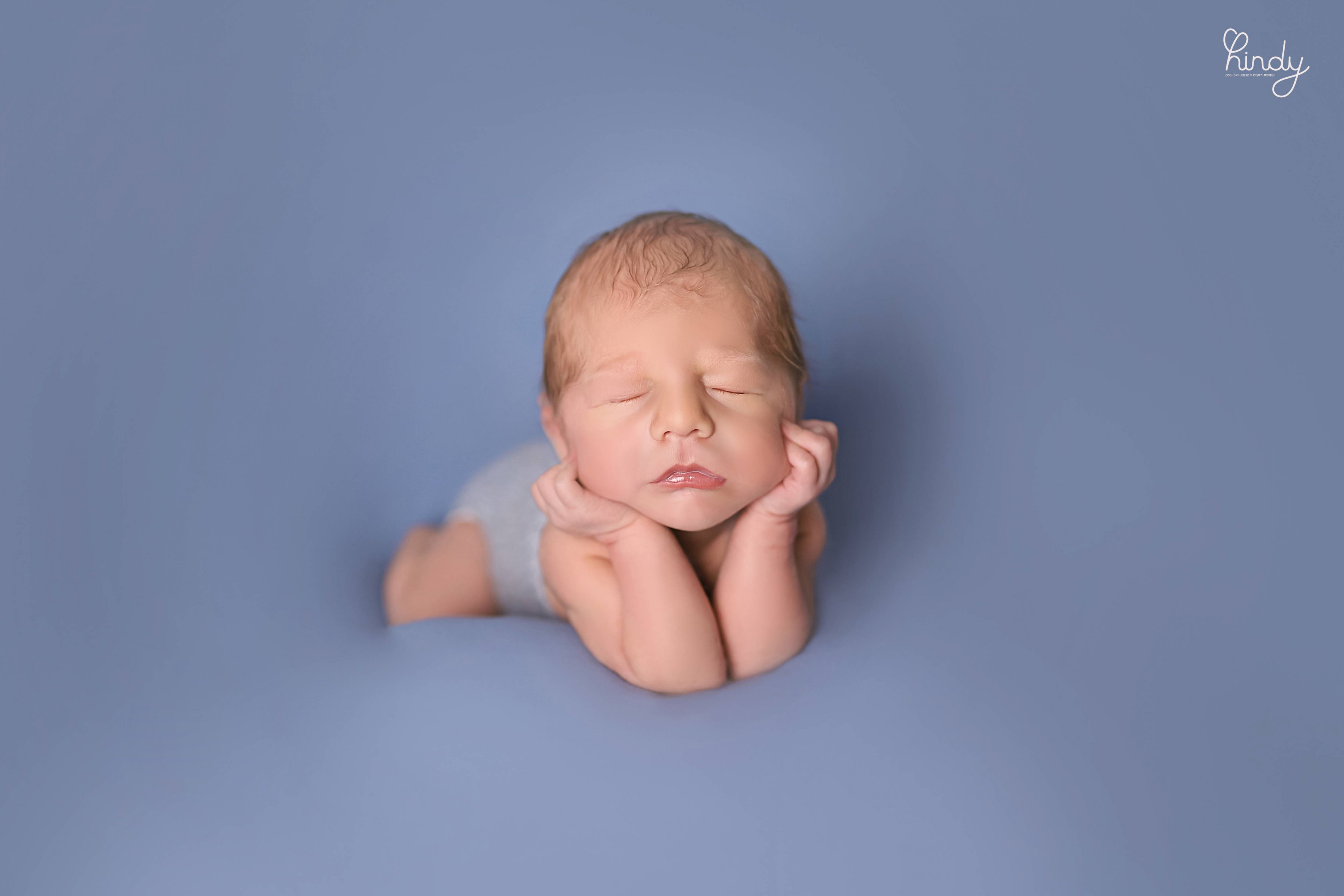 הינדי בלוי צילום 0556752832