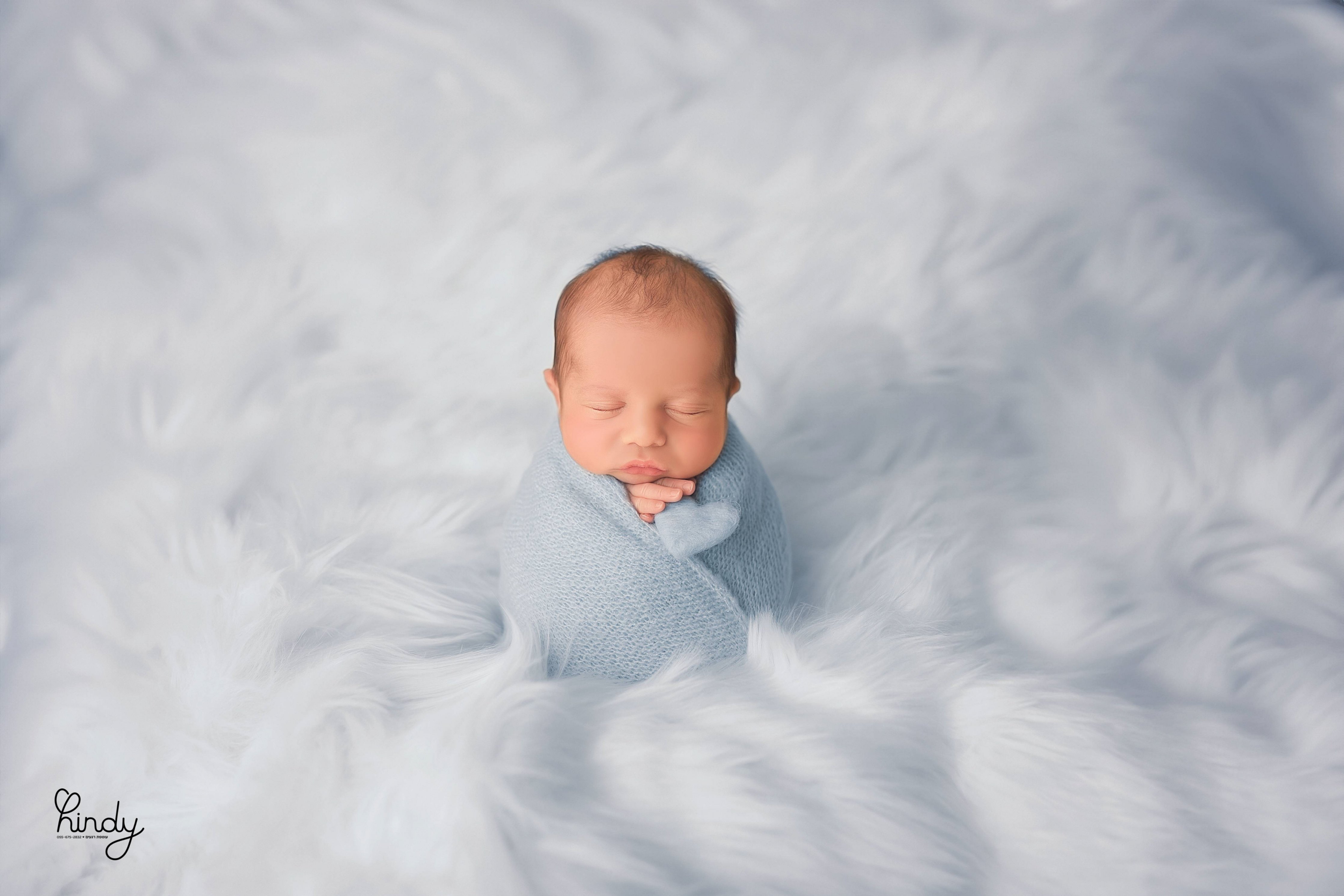 הינדי בלוי צילום 0556752832