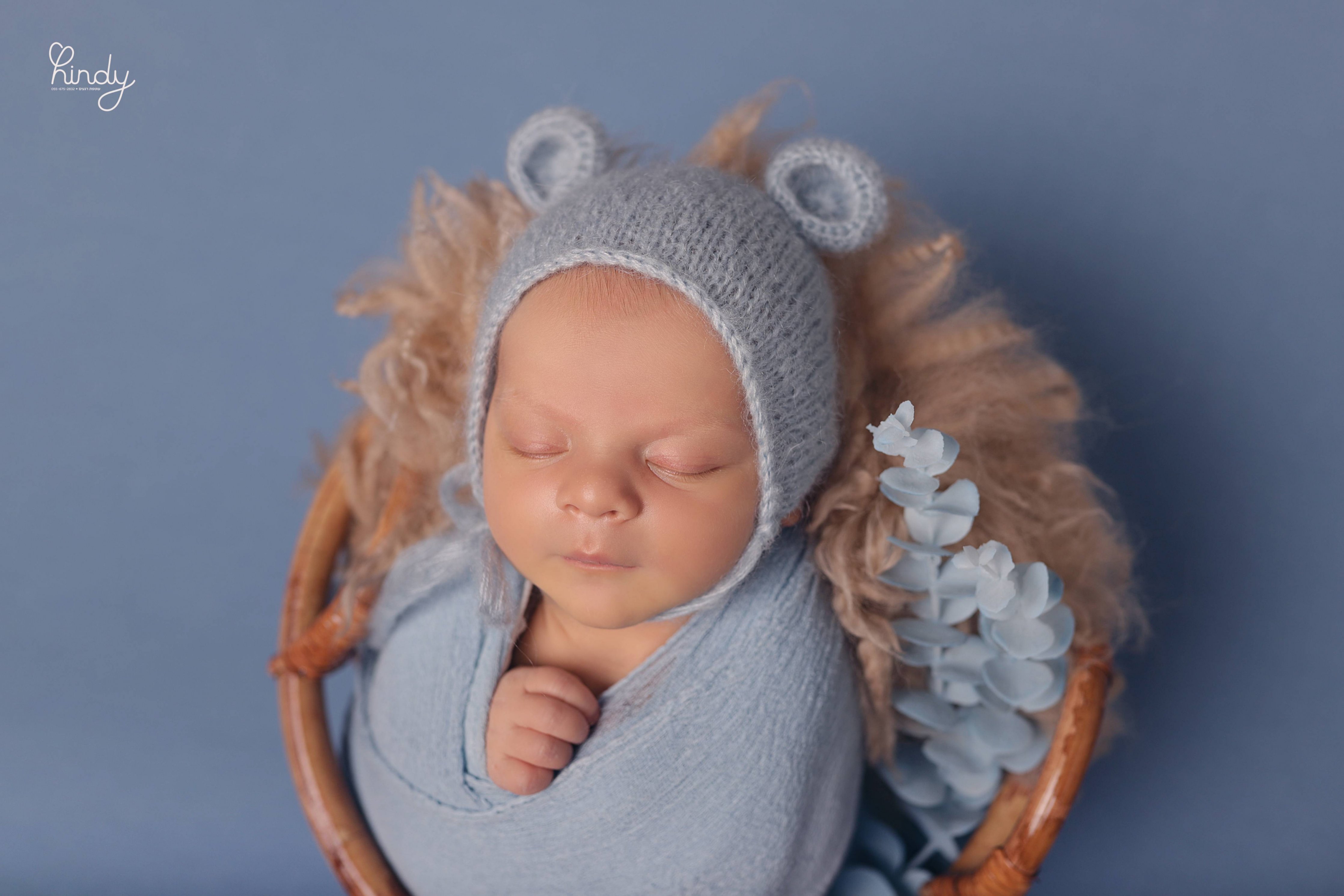 הינדי בלוי צילום 0556752832