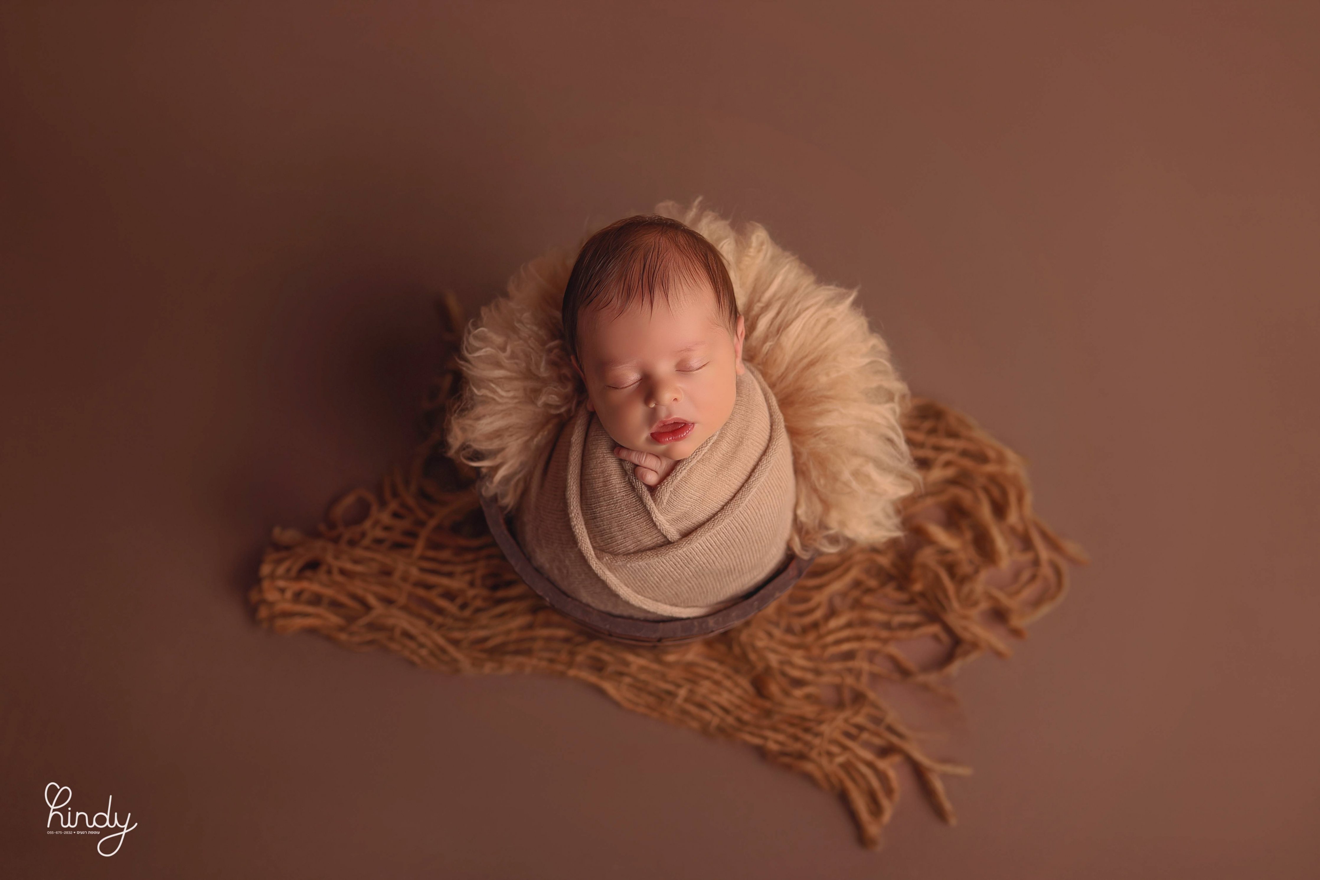 הינדי בלוי צילום 0556752832