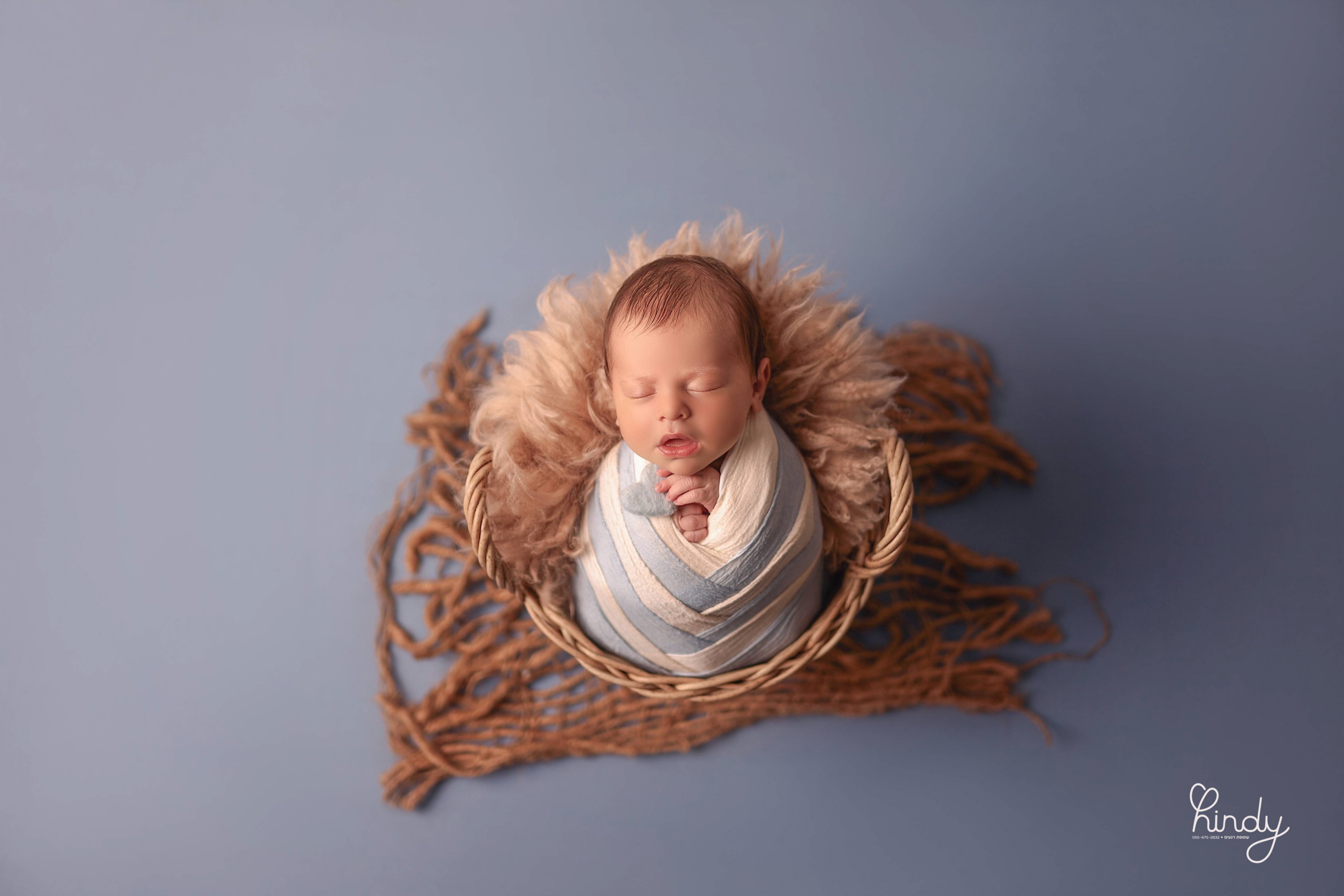 הינדי בלוי צילום 0556752832