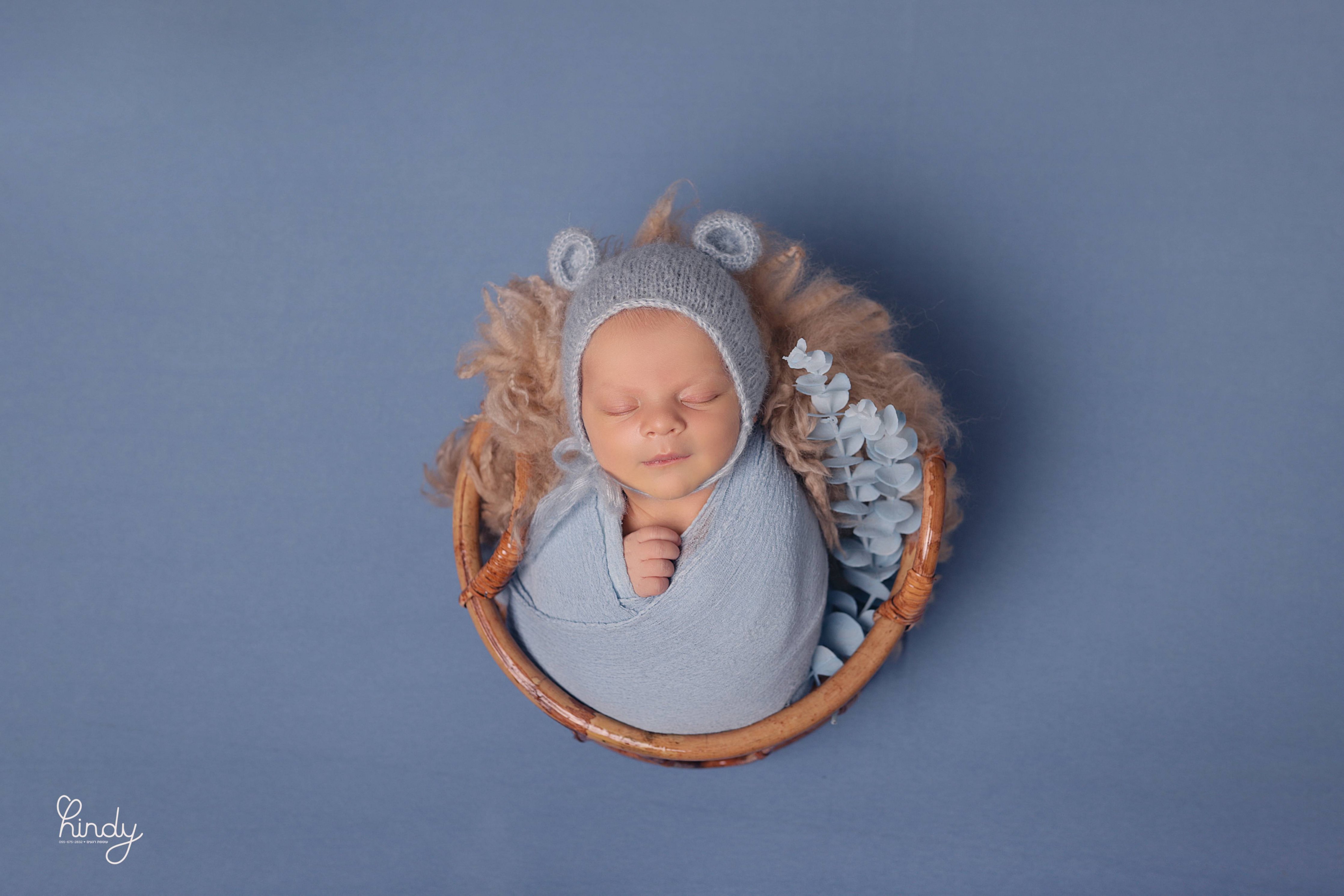 הינדי בלוי צילום 0556752832