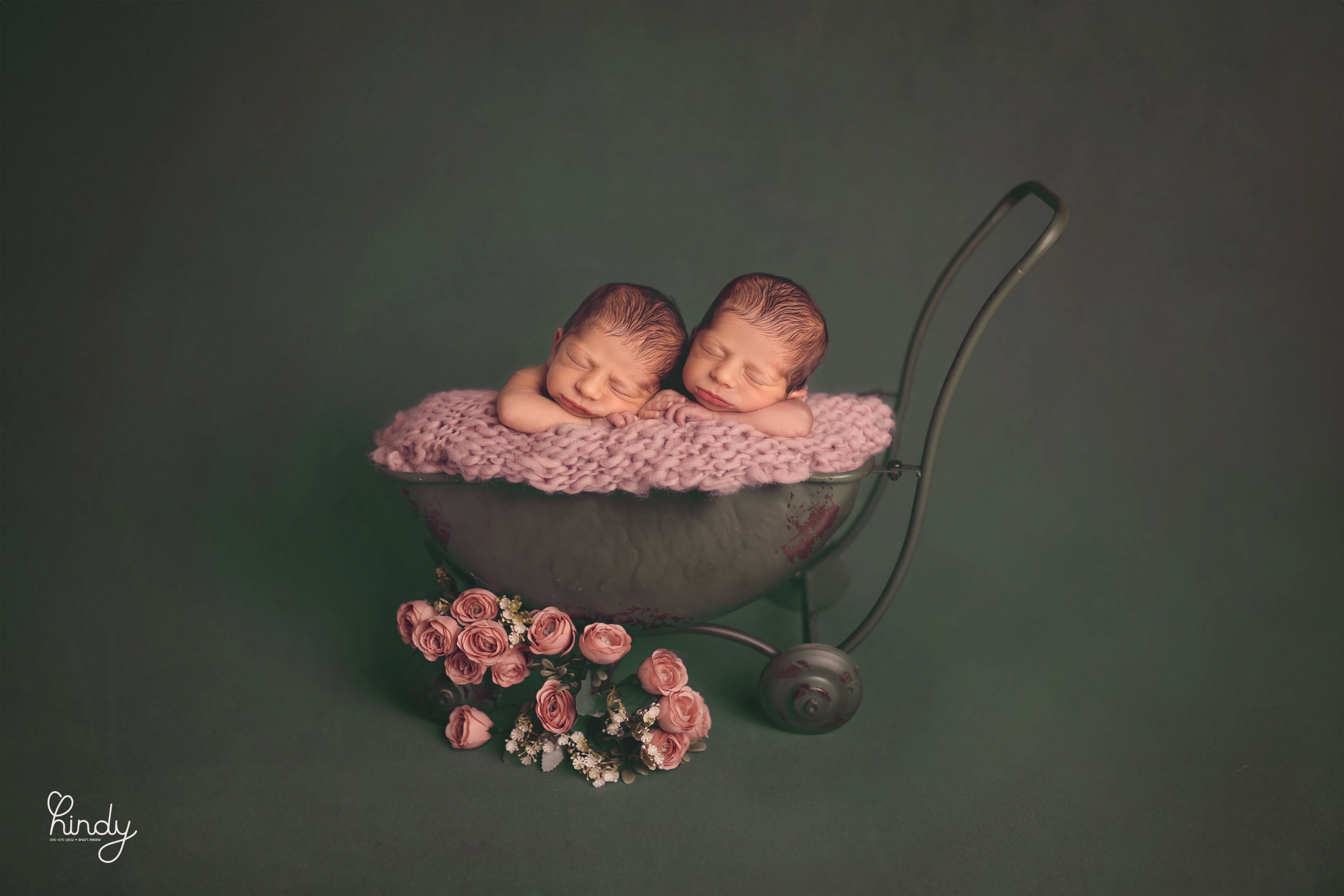 הינדי בלוי צילום 0556752832