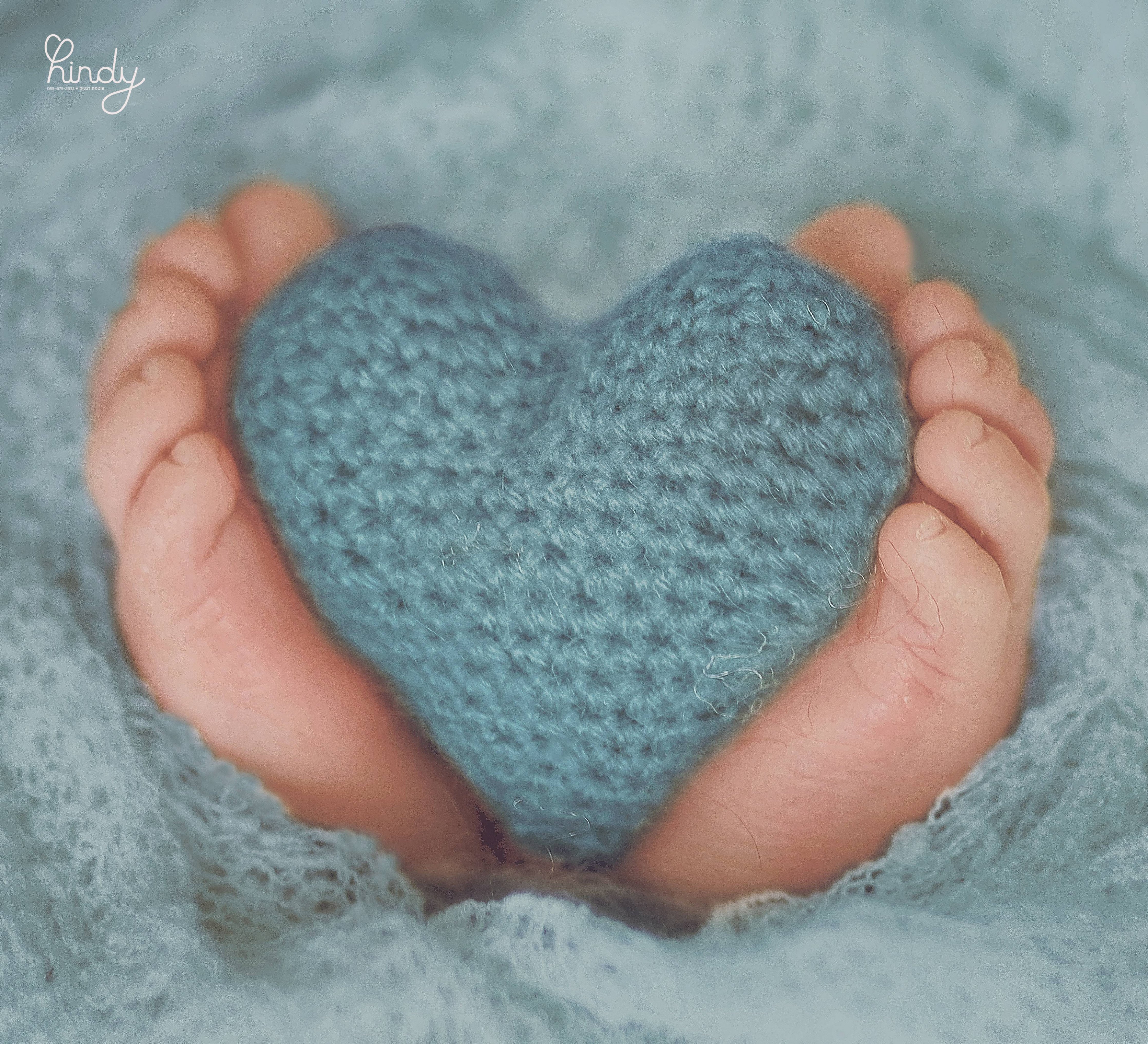 הינדי בלוי צילום 0556752832