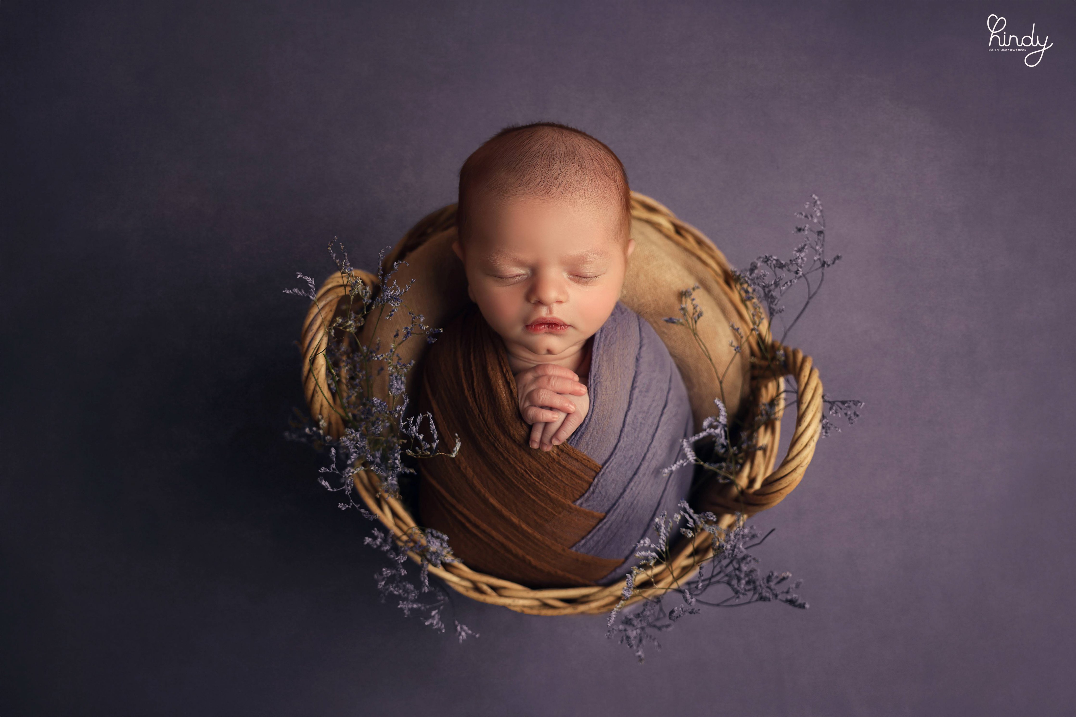 הינדי בלוי צילום 0556752832