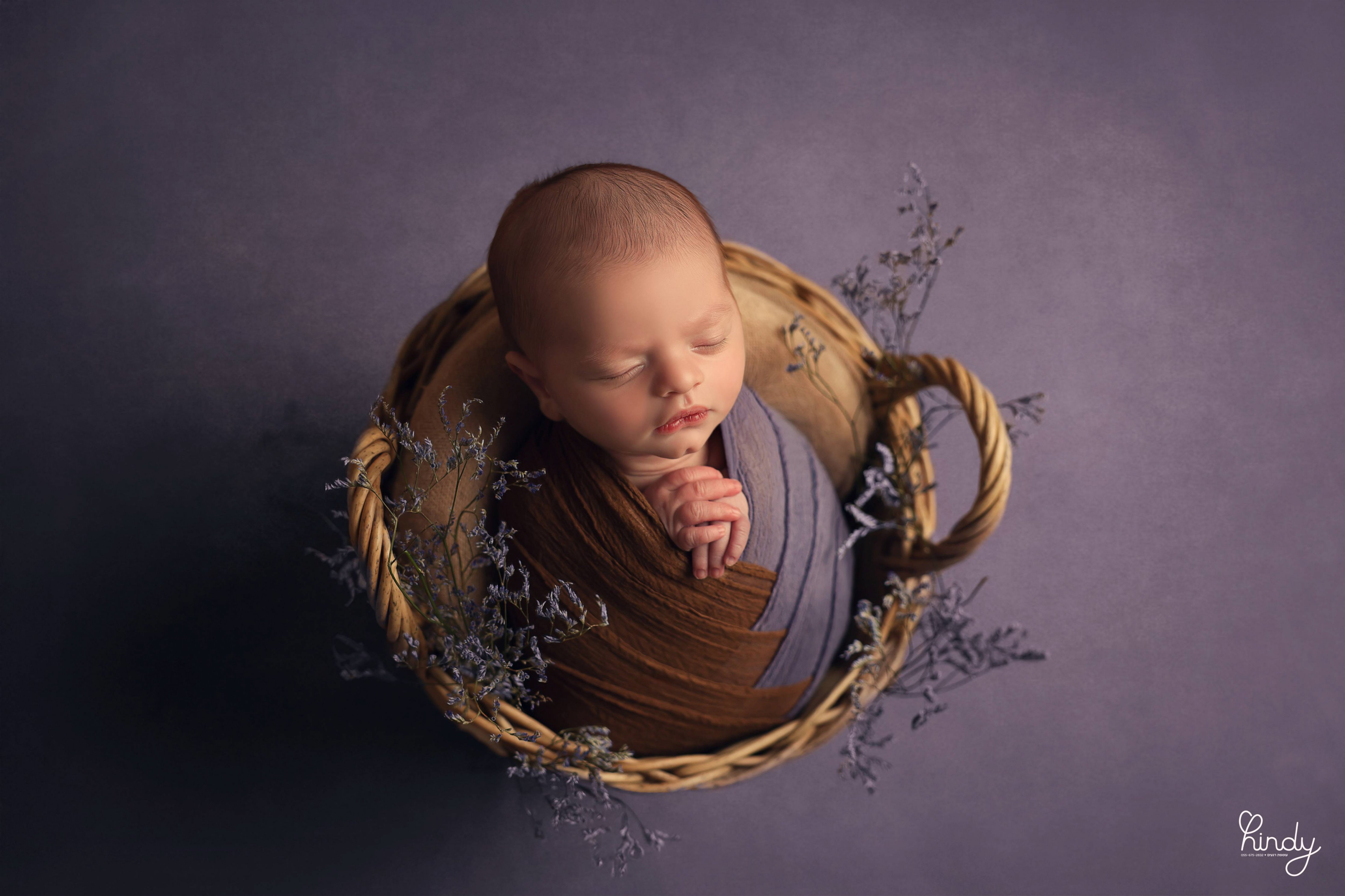 הינדי בלוי צילום 0556752832