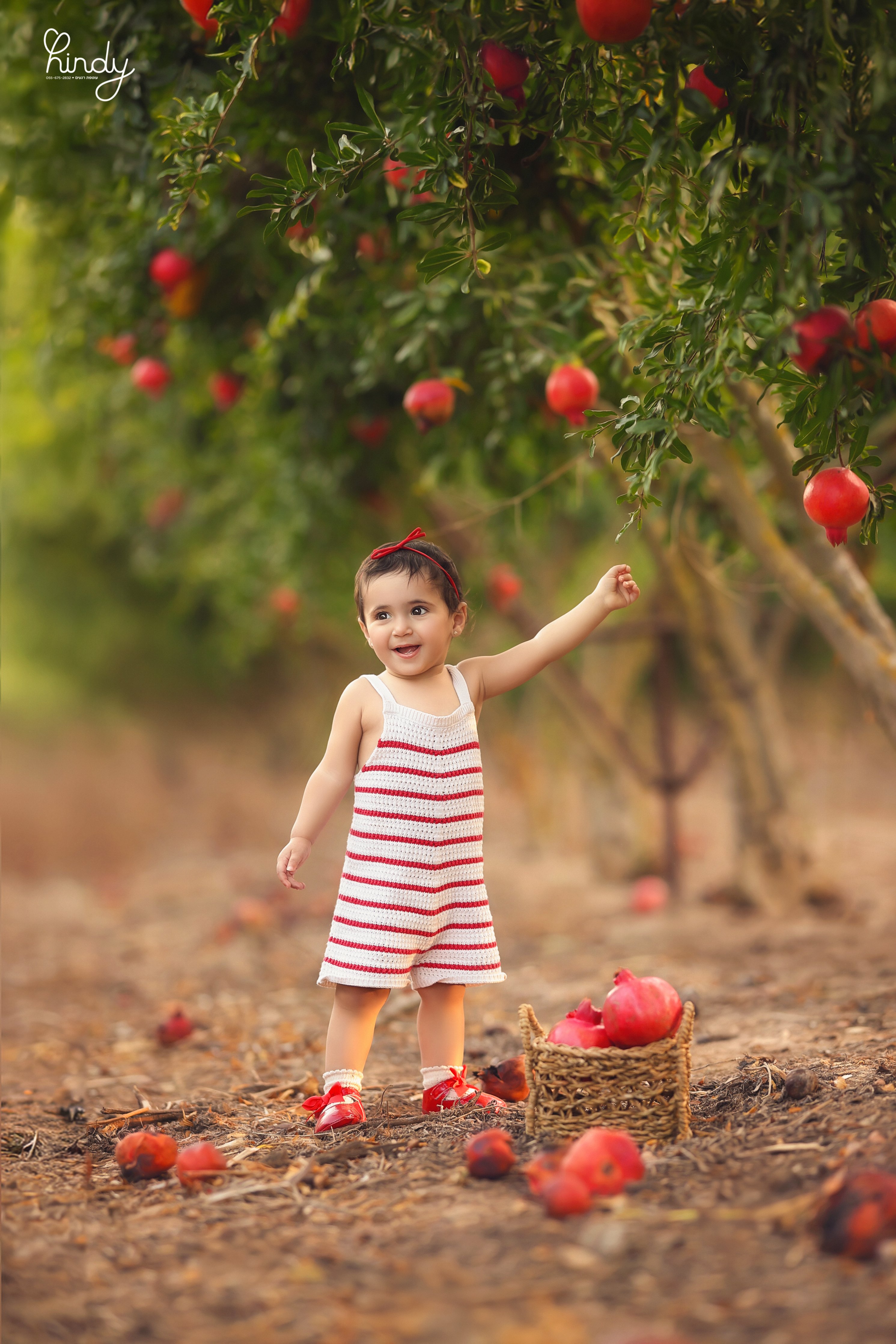 הינדי בלוי צילום 0556752832