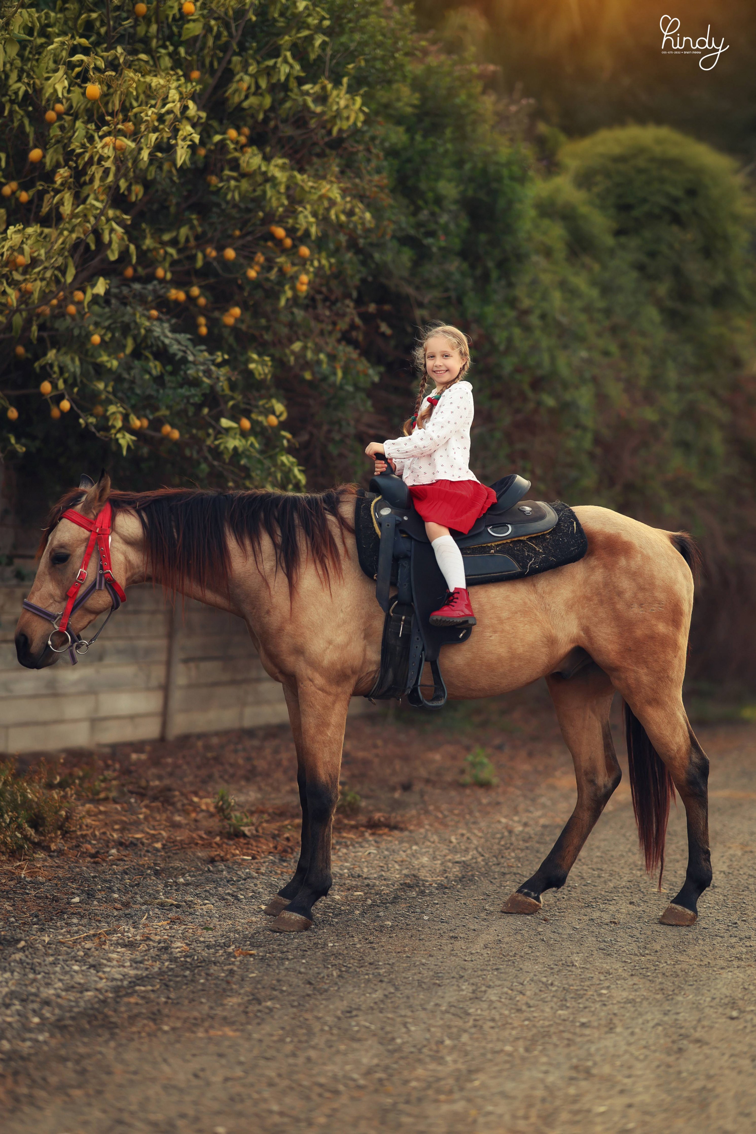 הינדי בלוי צילום 0556752832