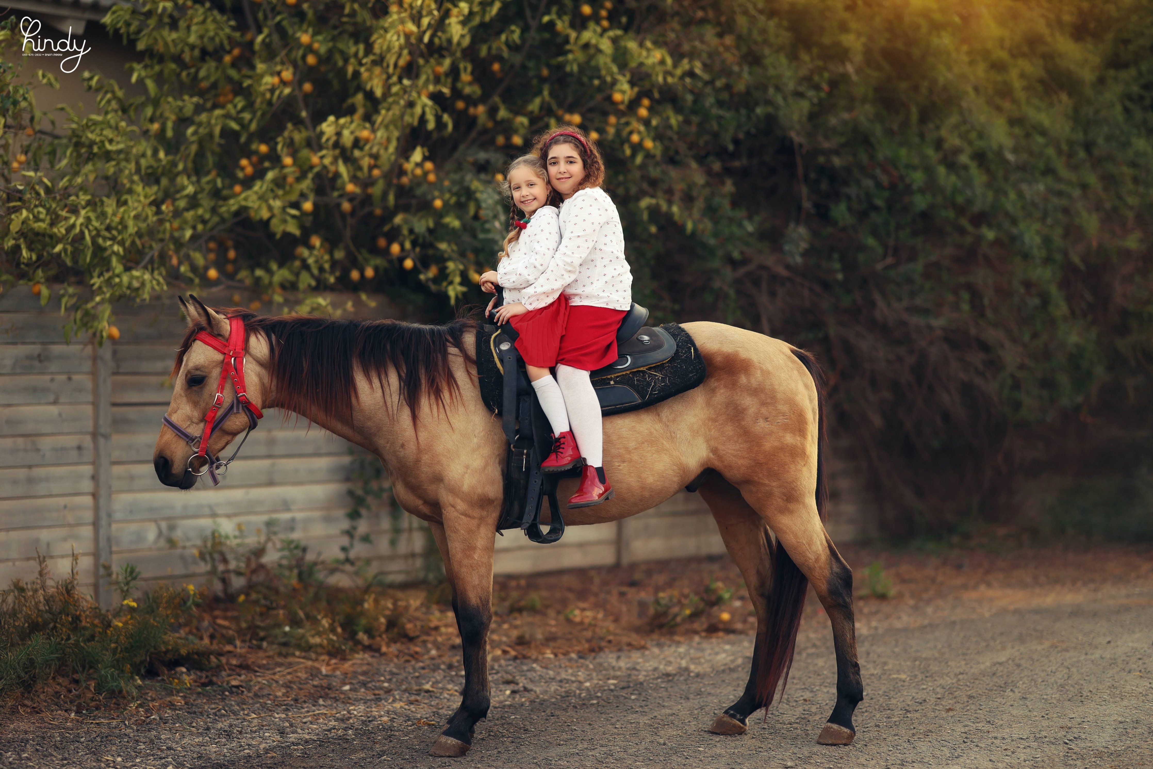 הינדי בלוי צילום 0556752832