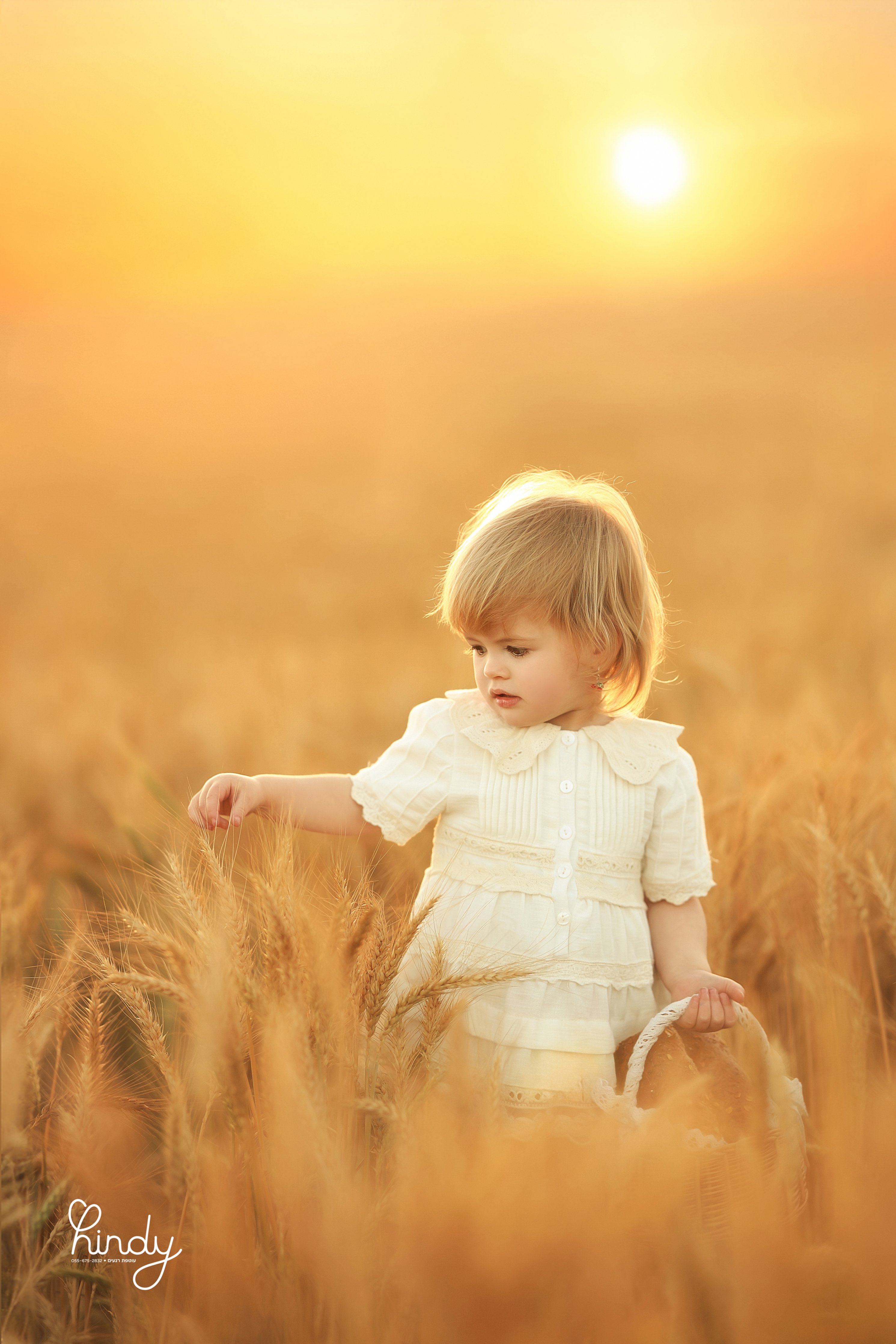 הינדי בלוי צילום 0556752832