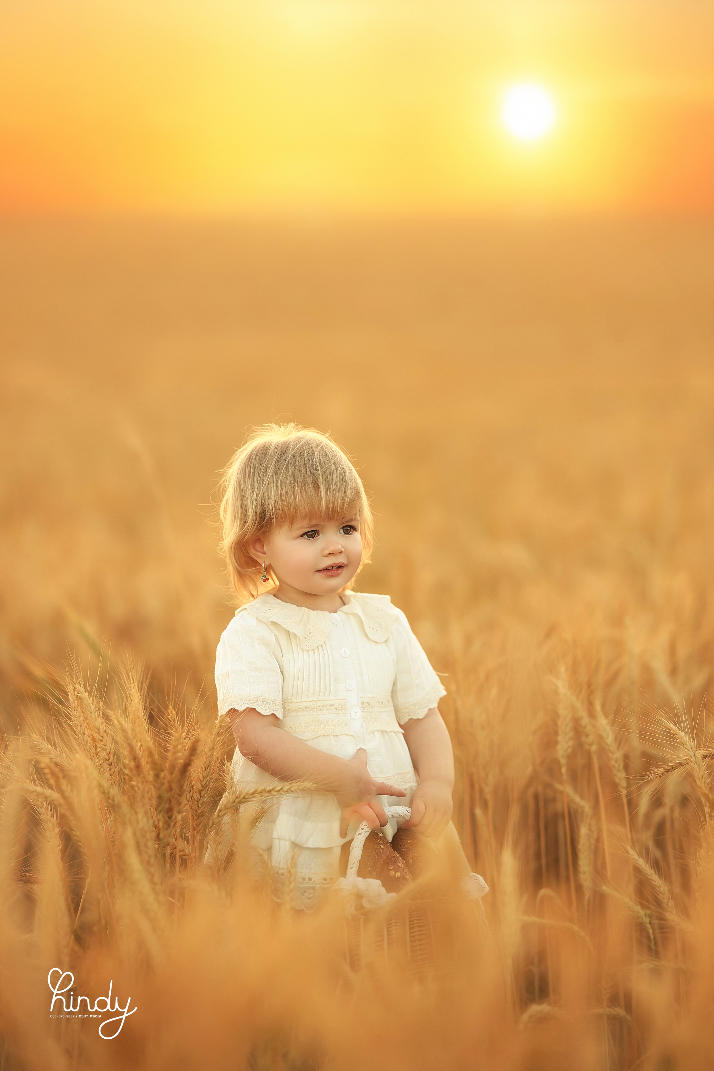 הינדי בלוי צילום 0556752832