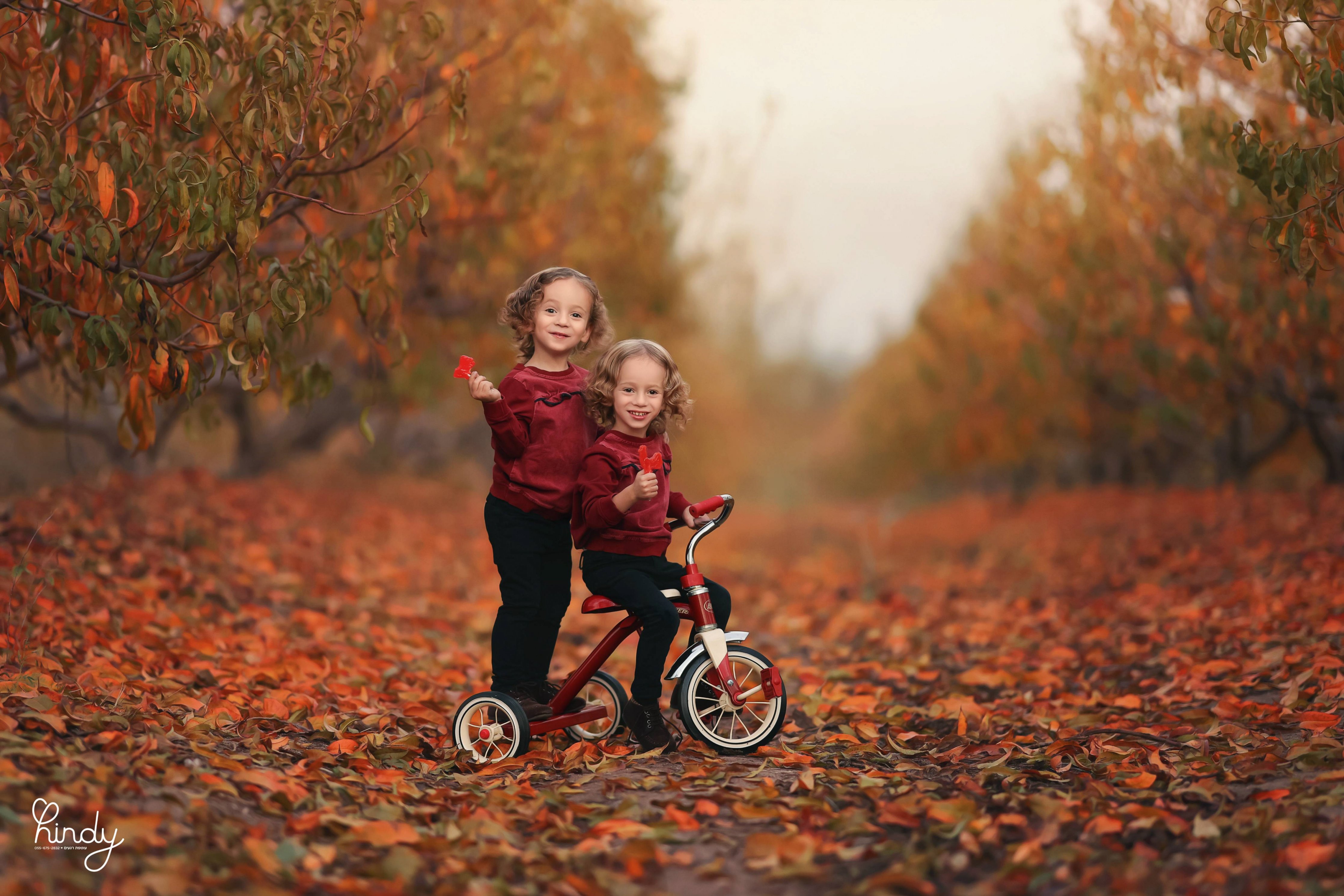 הינדי בלוי צילום 0556752832