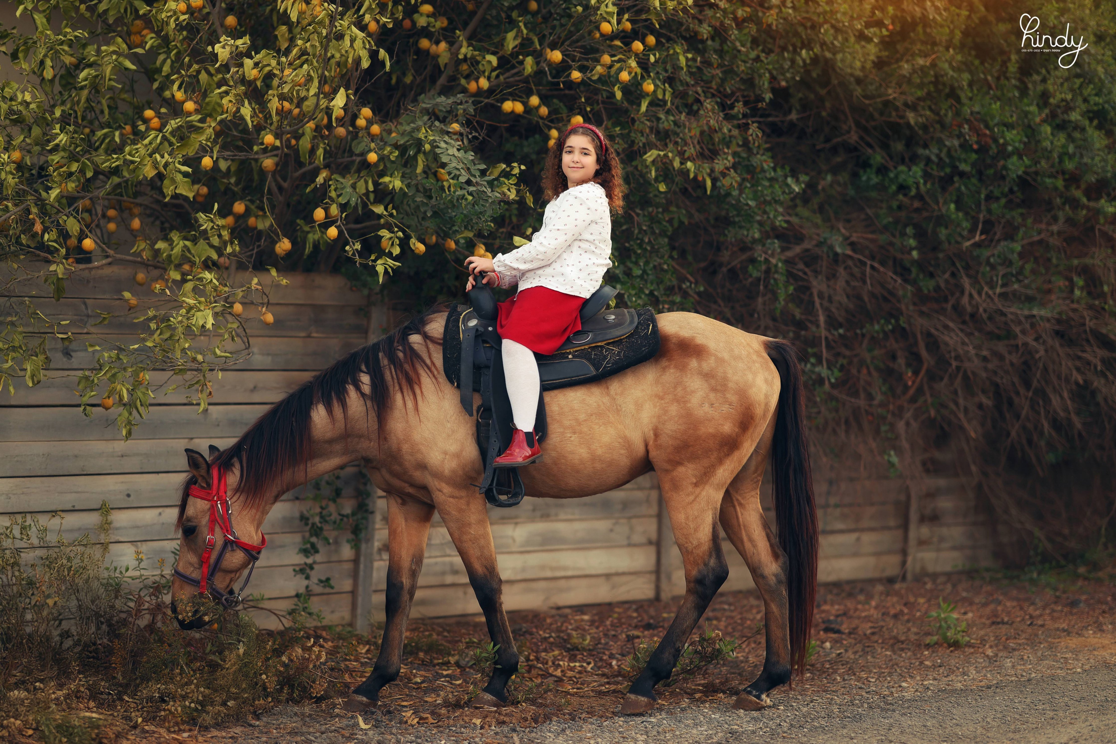 הינדי בלוי צילום 0556752832