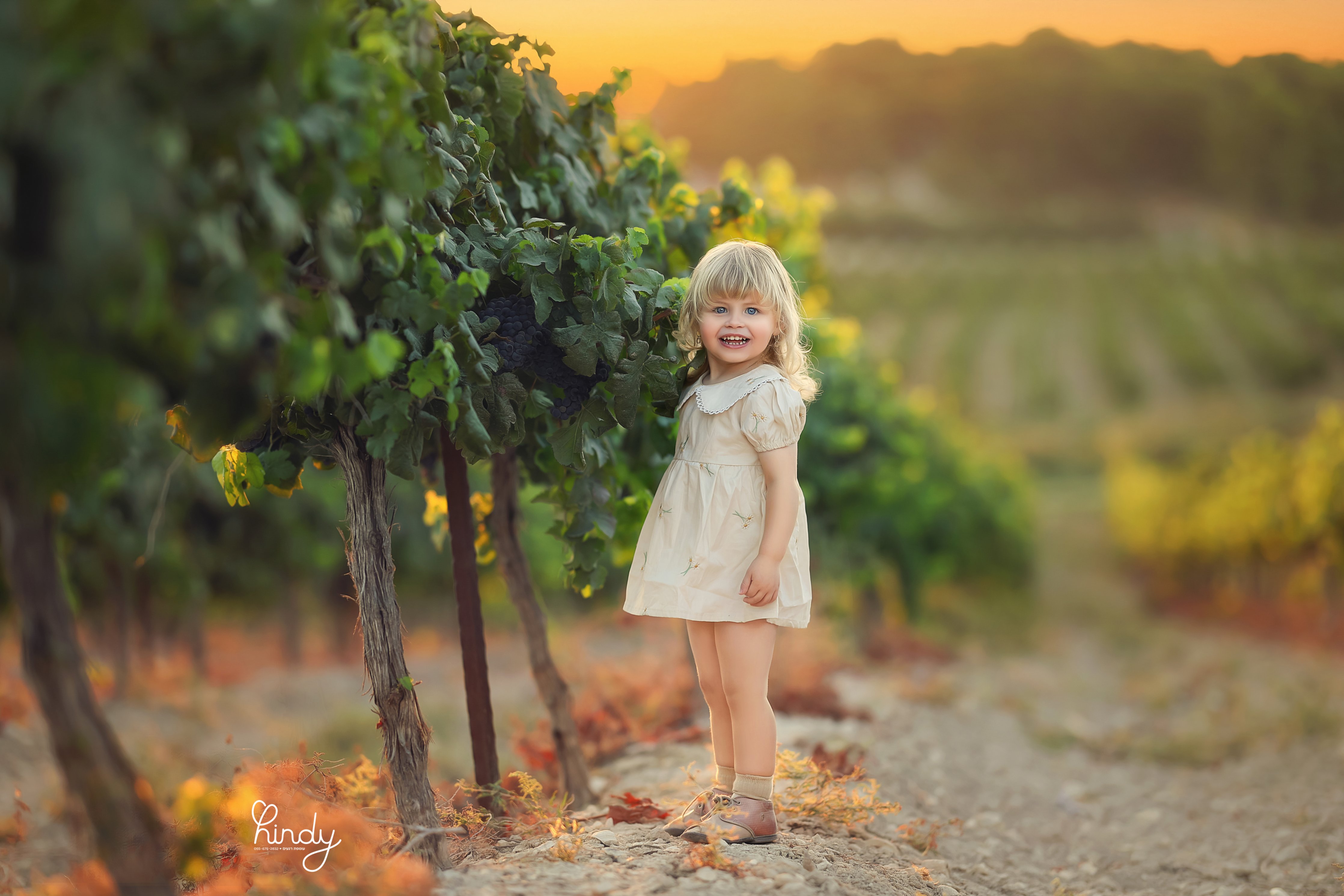 הינדי בלוי צילום 0556752832