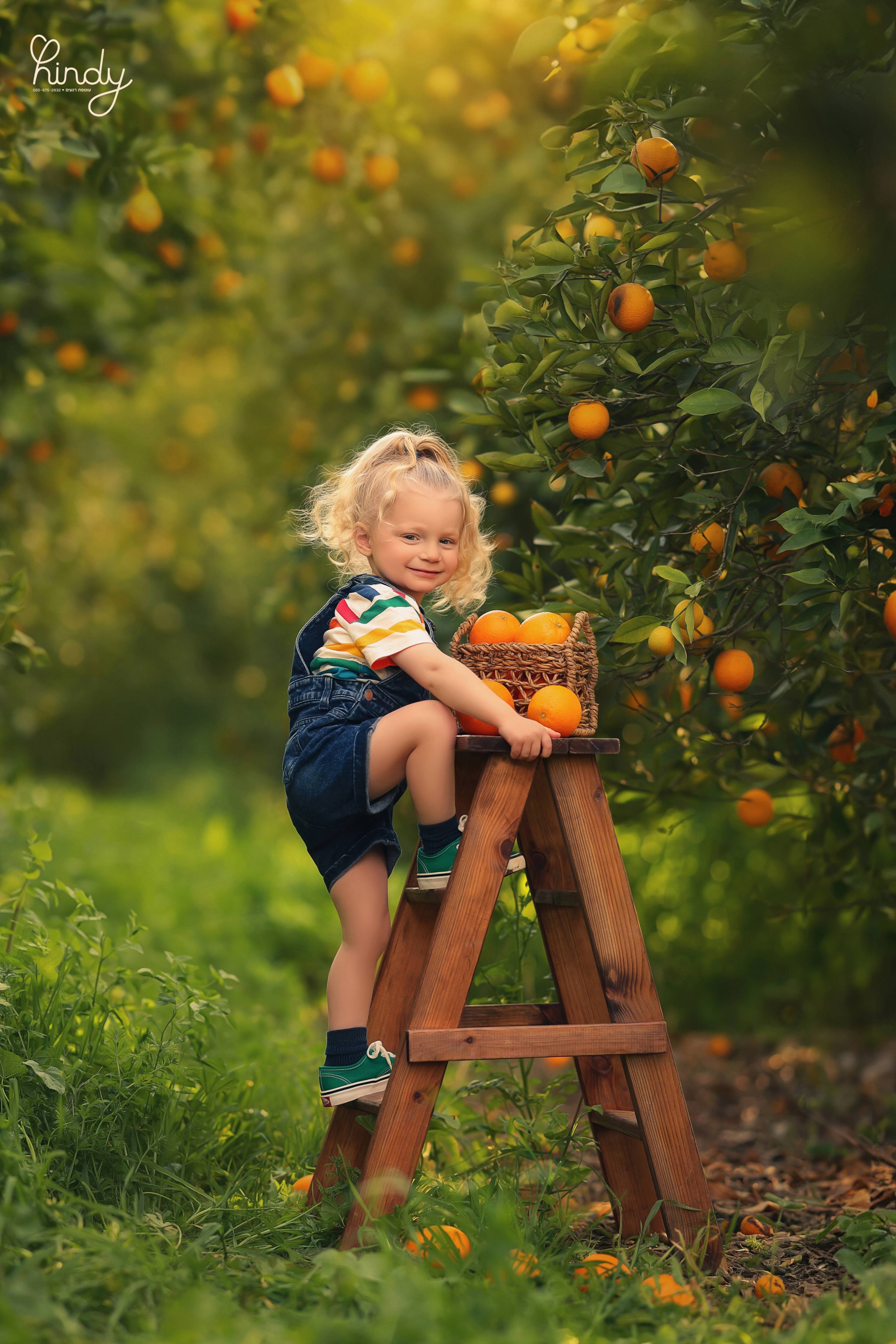 הינדי בלוי צילום 0556752832