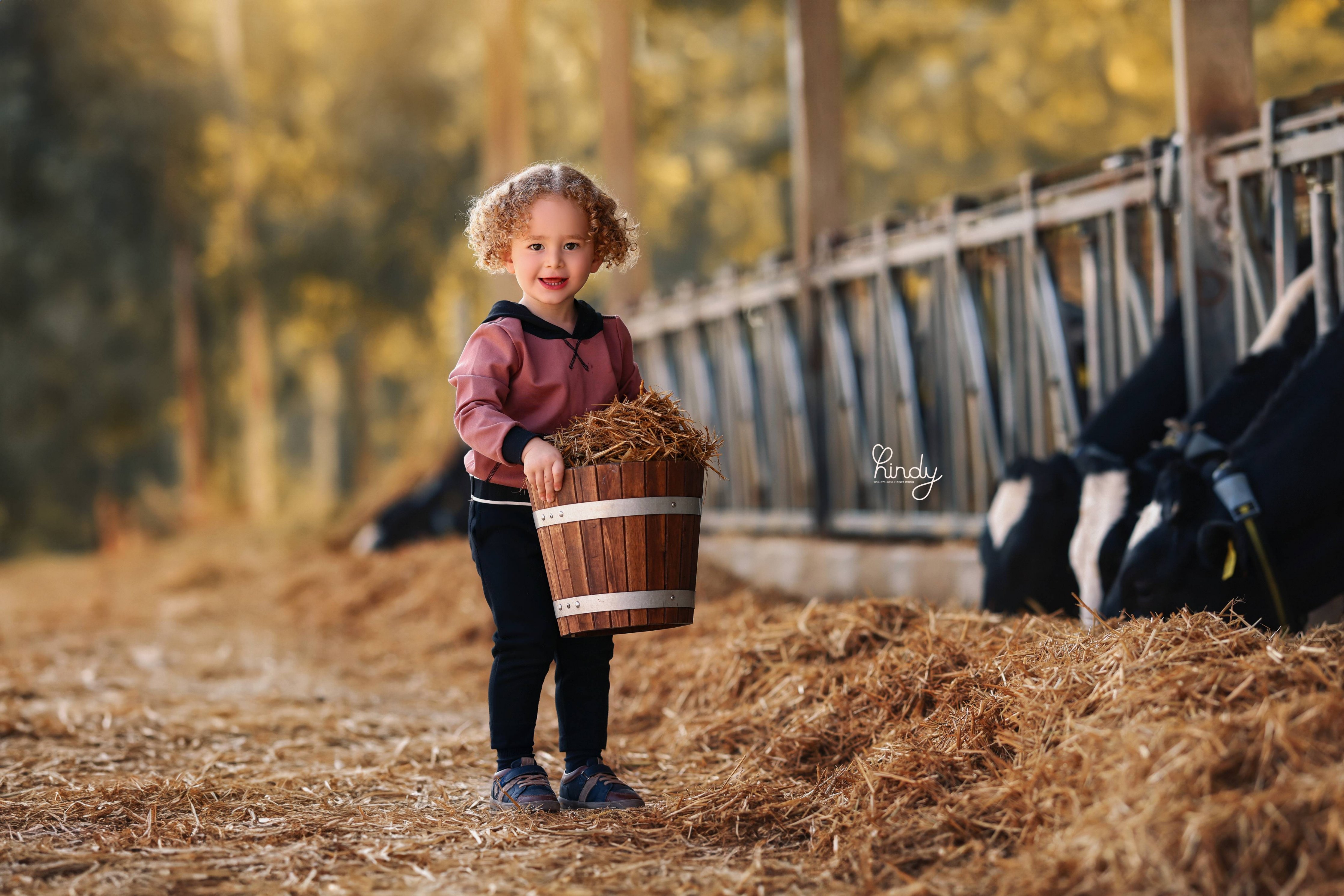 הינדי בלוי צילום 0556752832