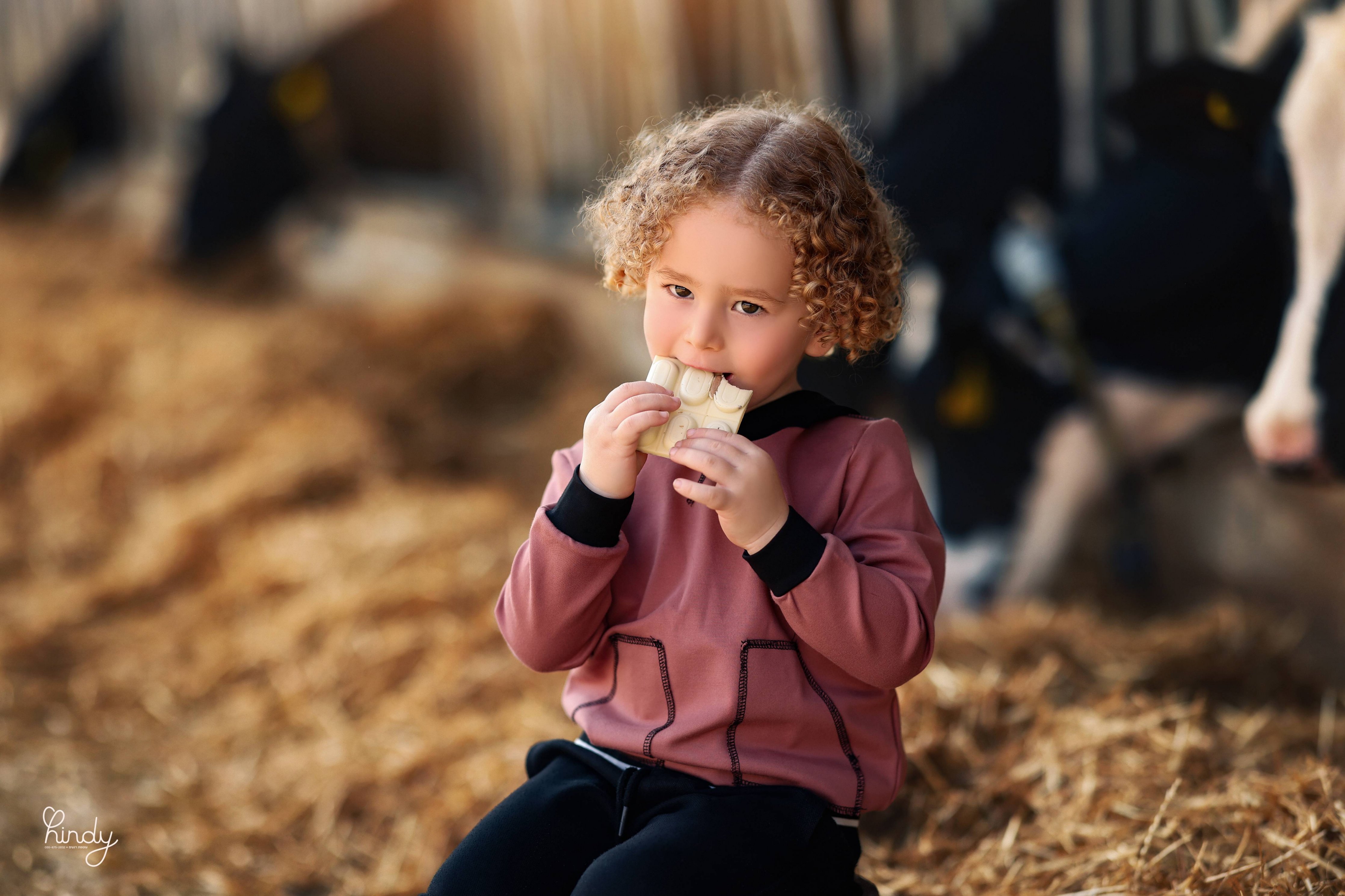 הינדי בלוי צילום 0556752832