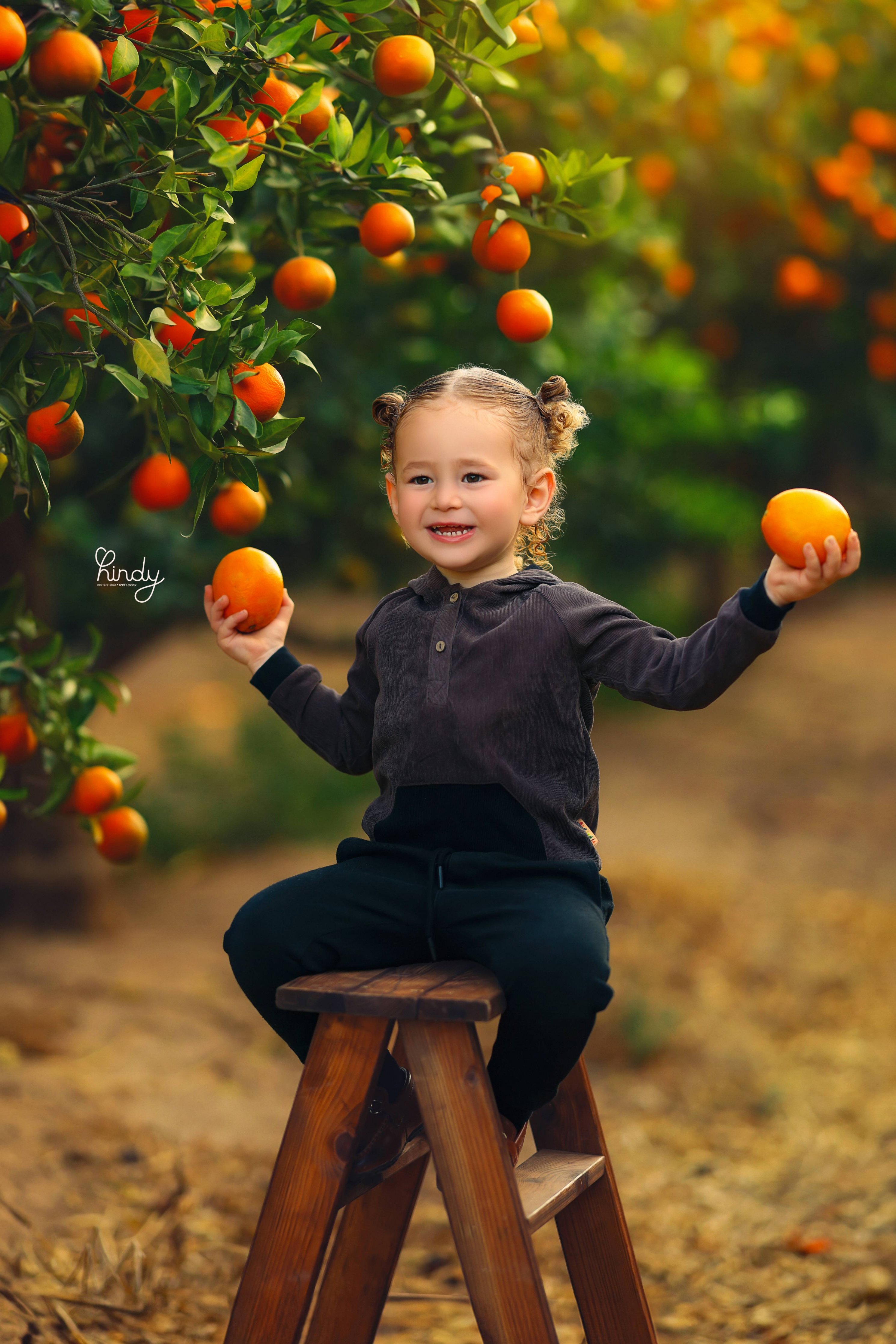 הינדי בלוי צילום 0556752832