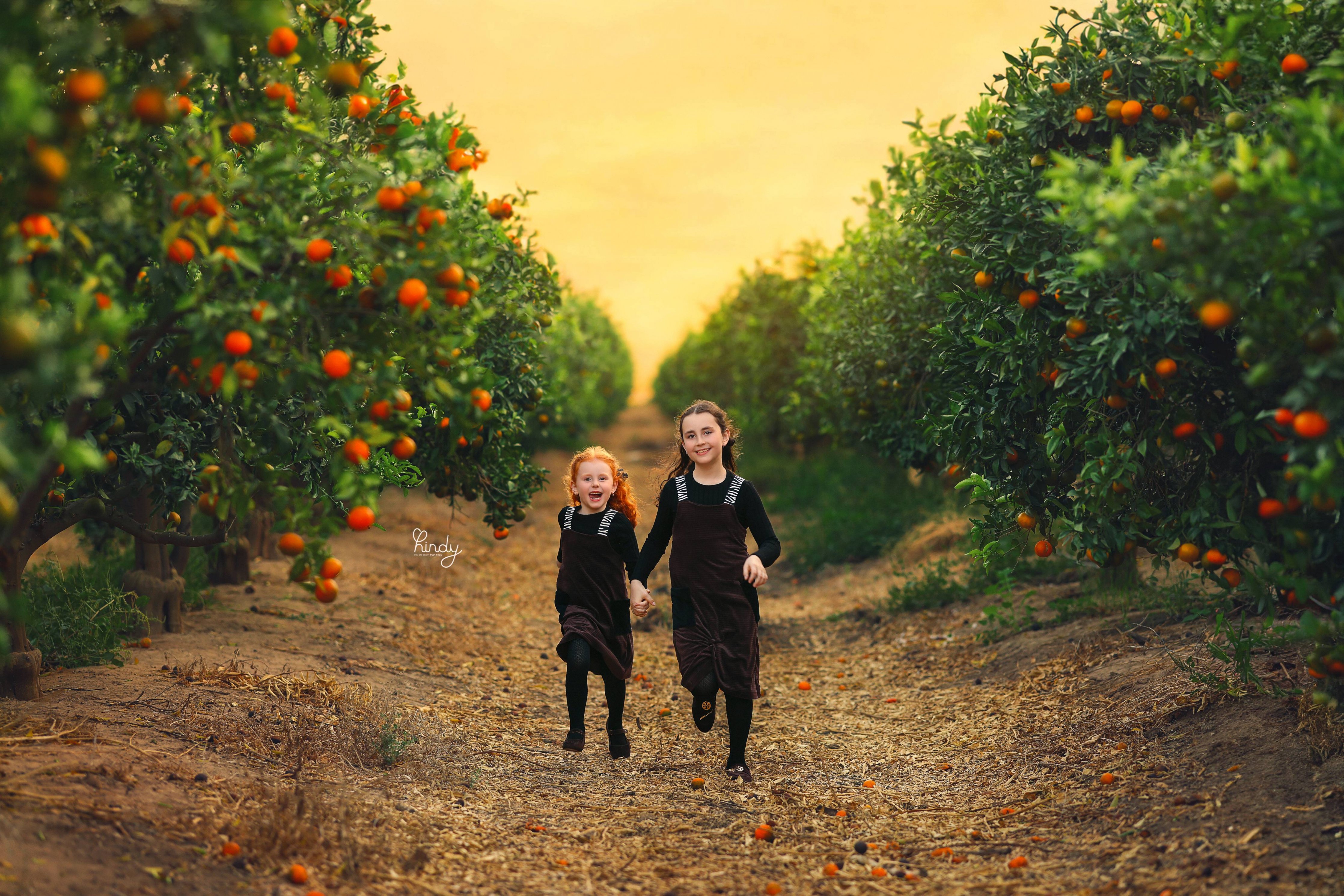 הינדי בלוי צילום 0556752832