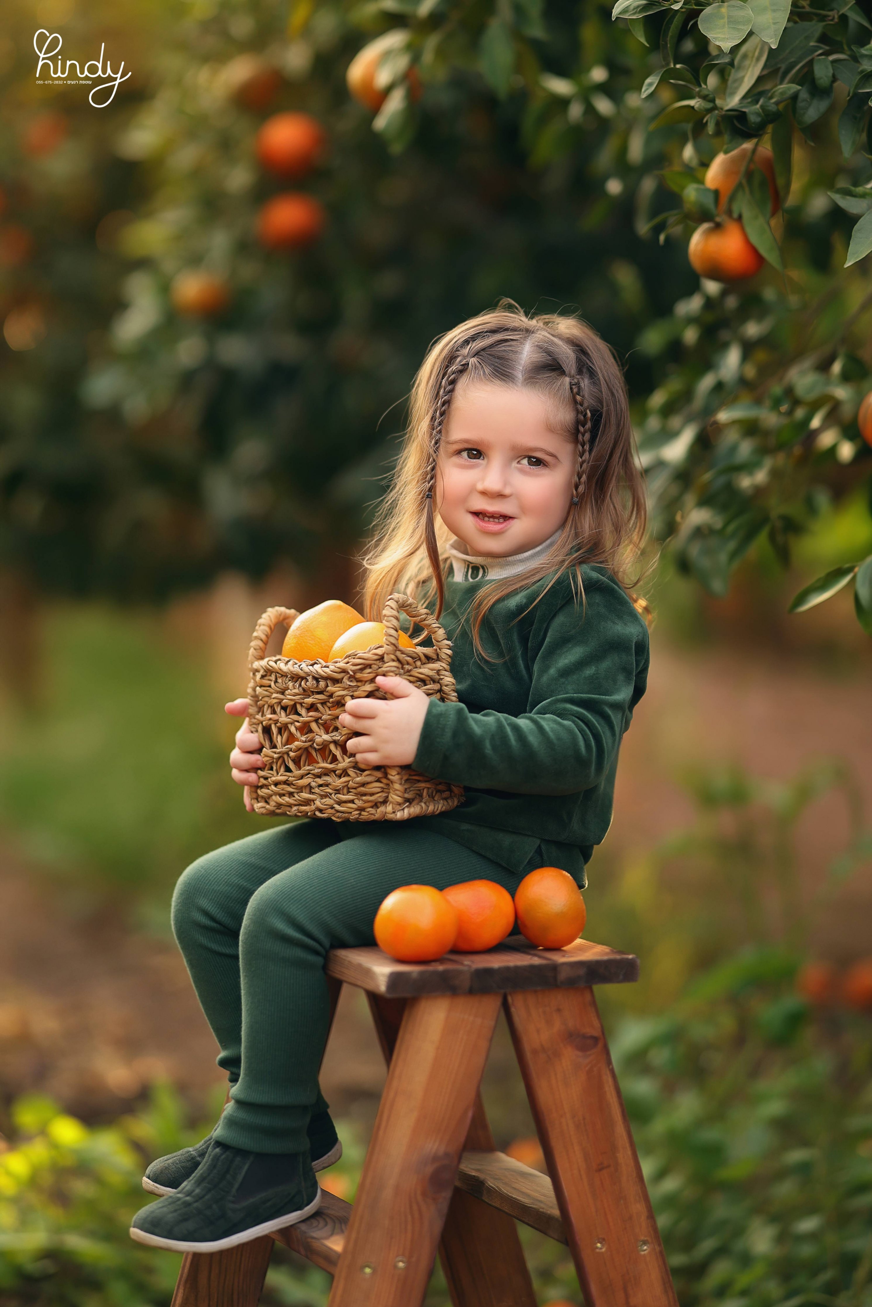 הינדי בלוי צילום 0556752832