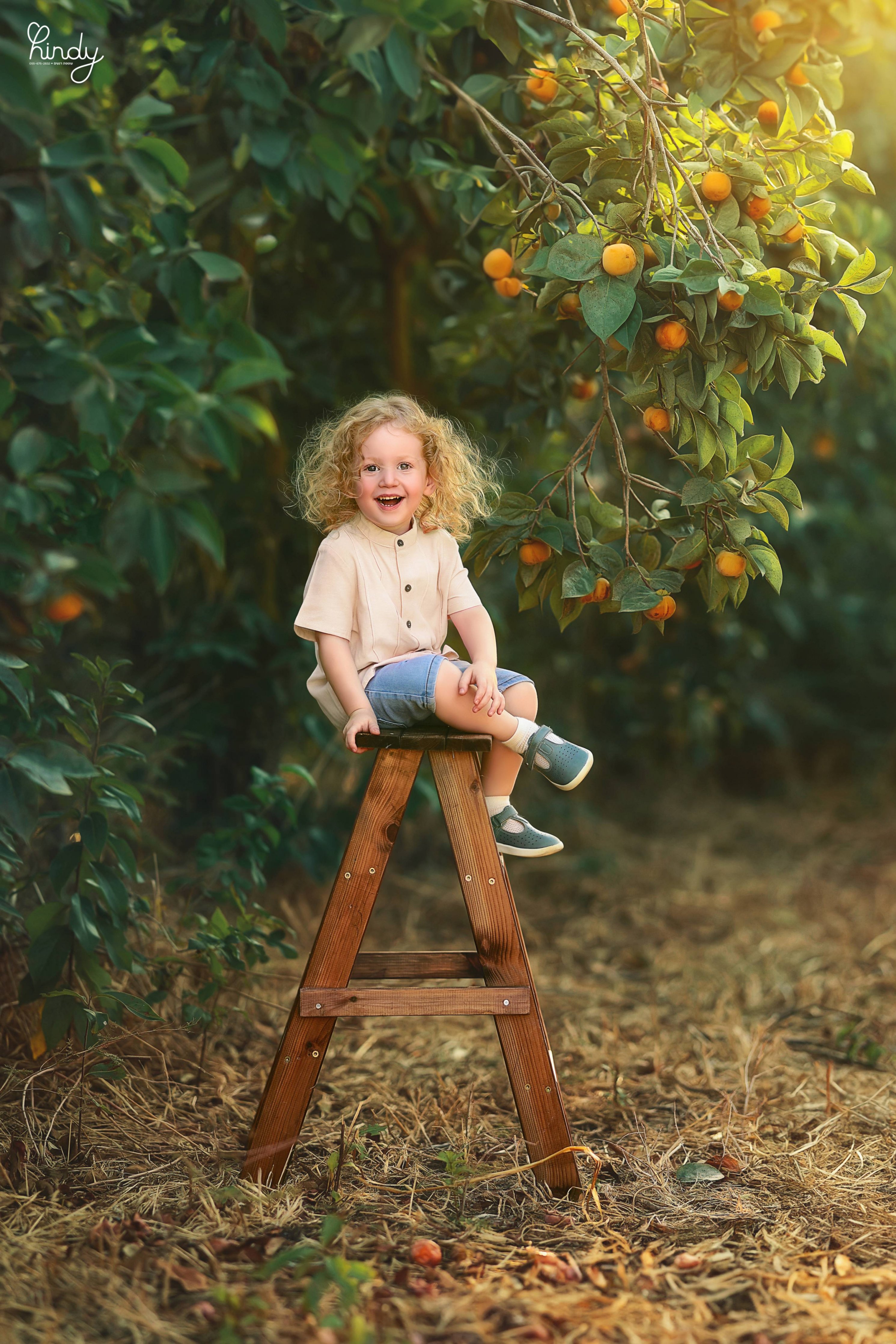 הינדי בלוי צילום 0556752832