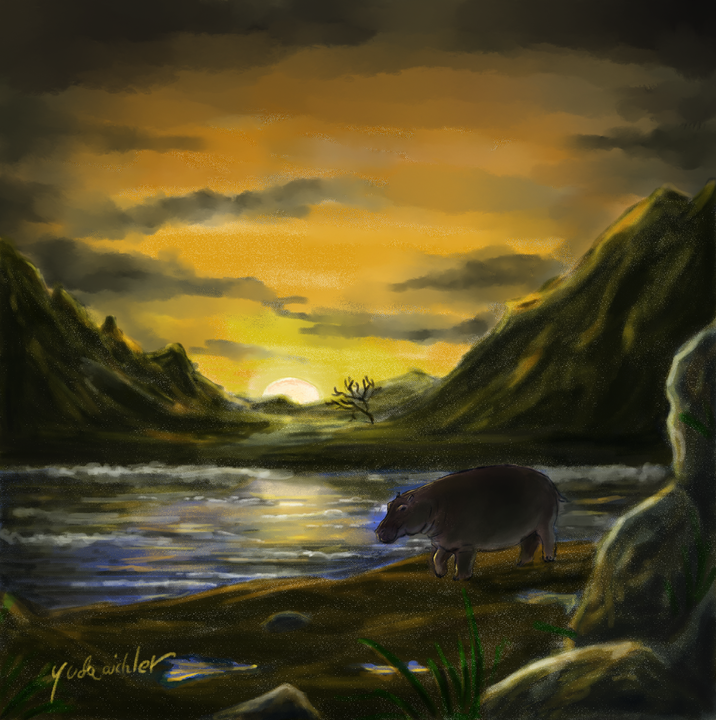 היפופוטם בשקיעה.jpg