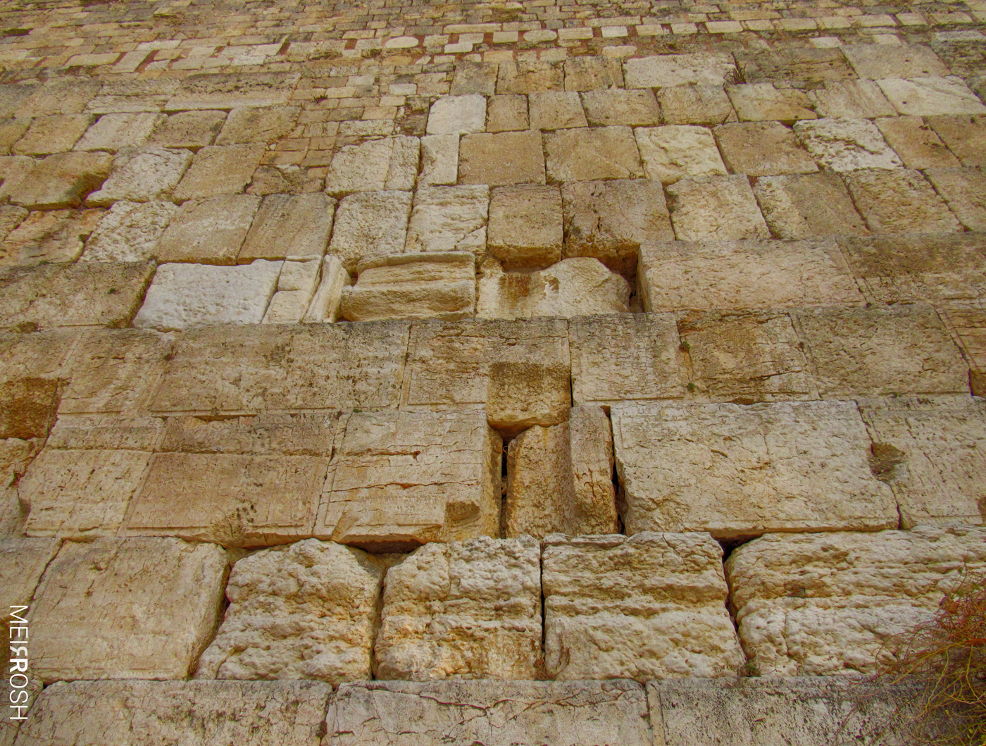 הכותל המערבי (3)